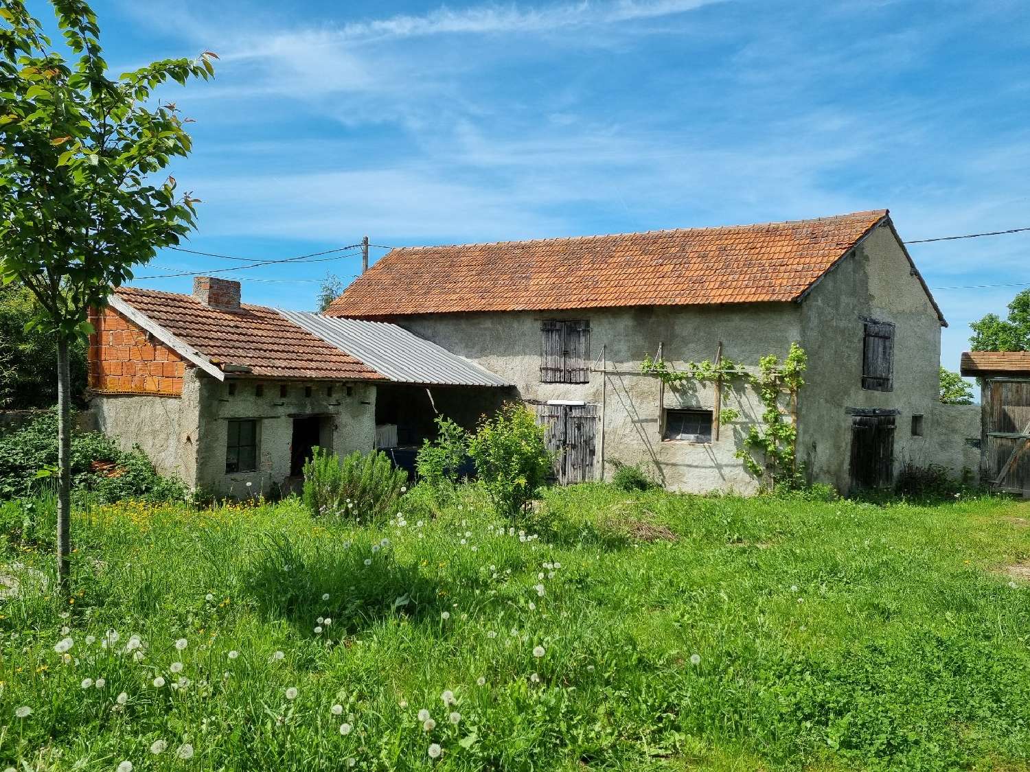 à vendre maison Saint-Étienne-de-Vicq Allier 7