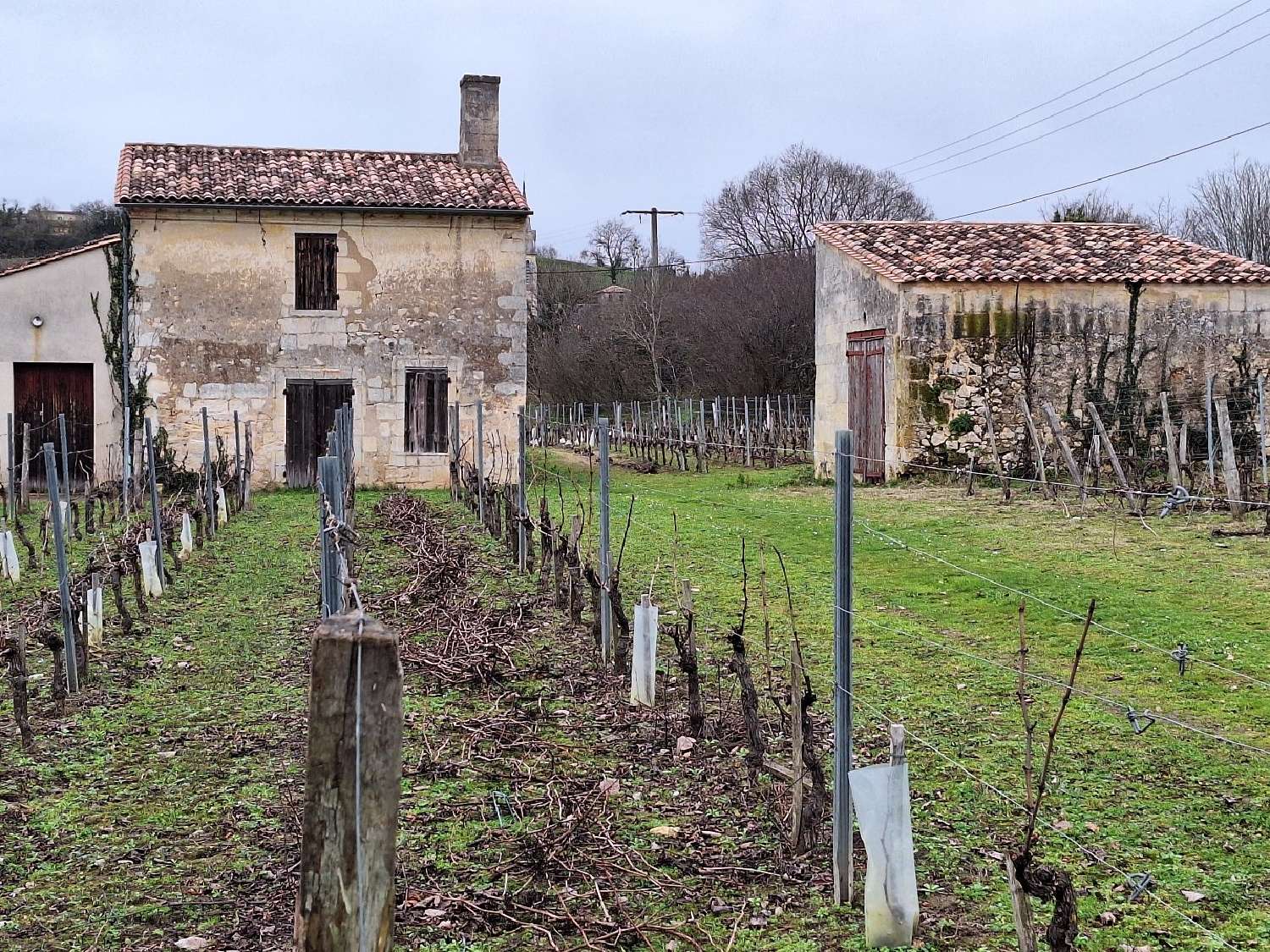  te koop huis Saint-Michel-de-Fronsac Gironde 5
