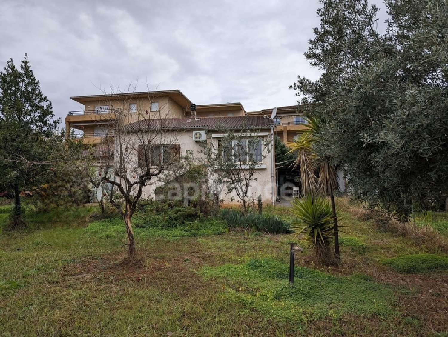 San-Nicolao Haute-Corse Haus Bild 6838385