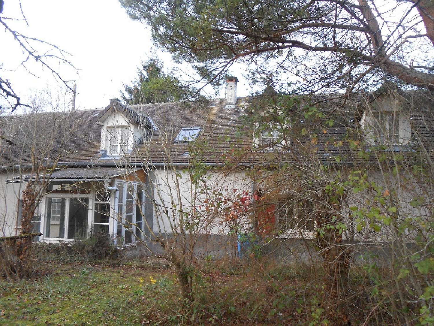  kaufen Haus Solterre Loiret 3