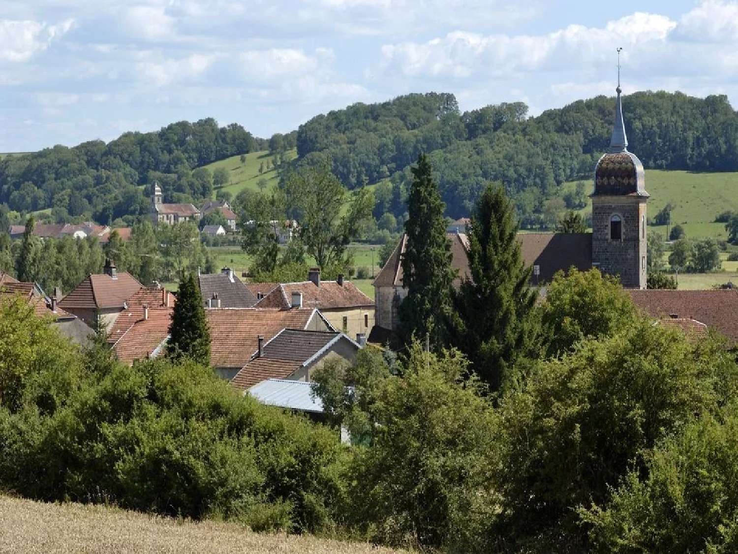  te koop huis Vernois-sur-Mance Haute-Saône 1