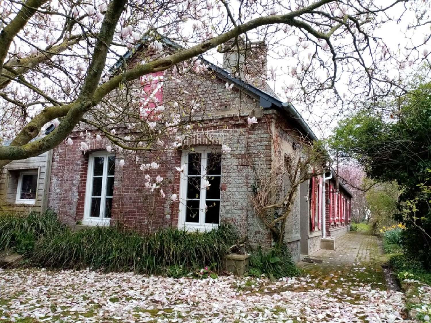  kaufen Haus Valmont Seine-Maritime 3