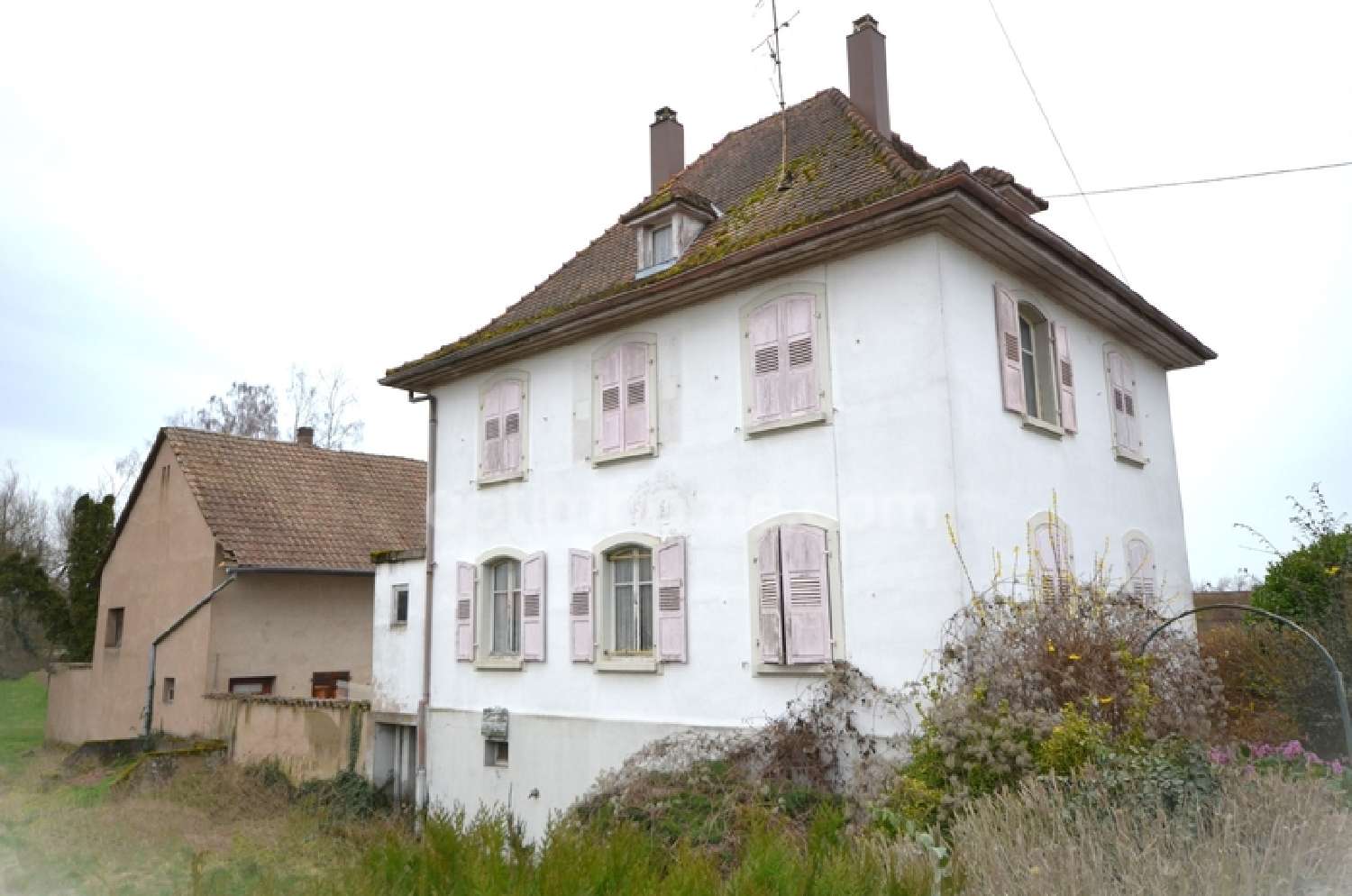  à vendre maison bourgeoise Erstein Bas-Rhin 5