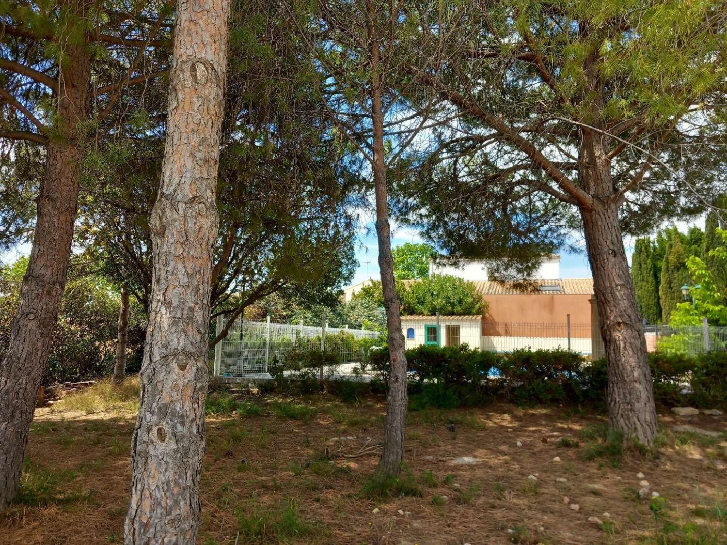  kaufen Grundstück Bouzigues Hérault 1