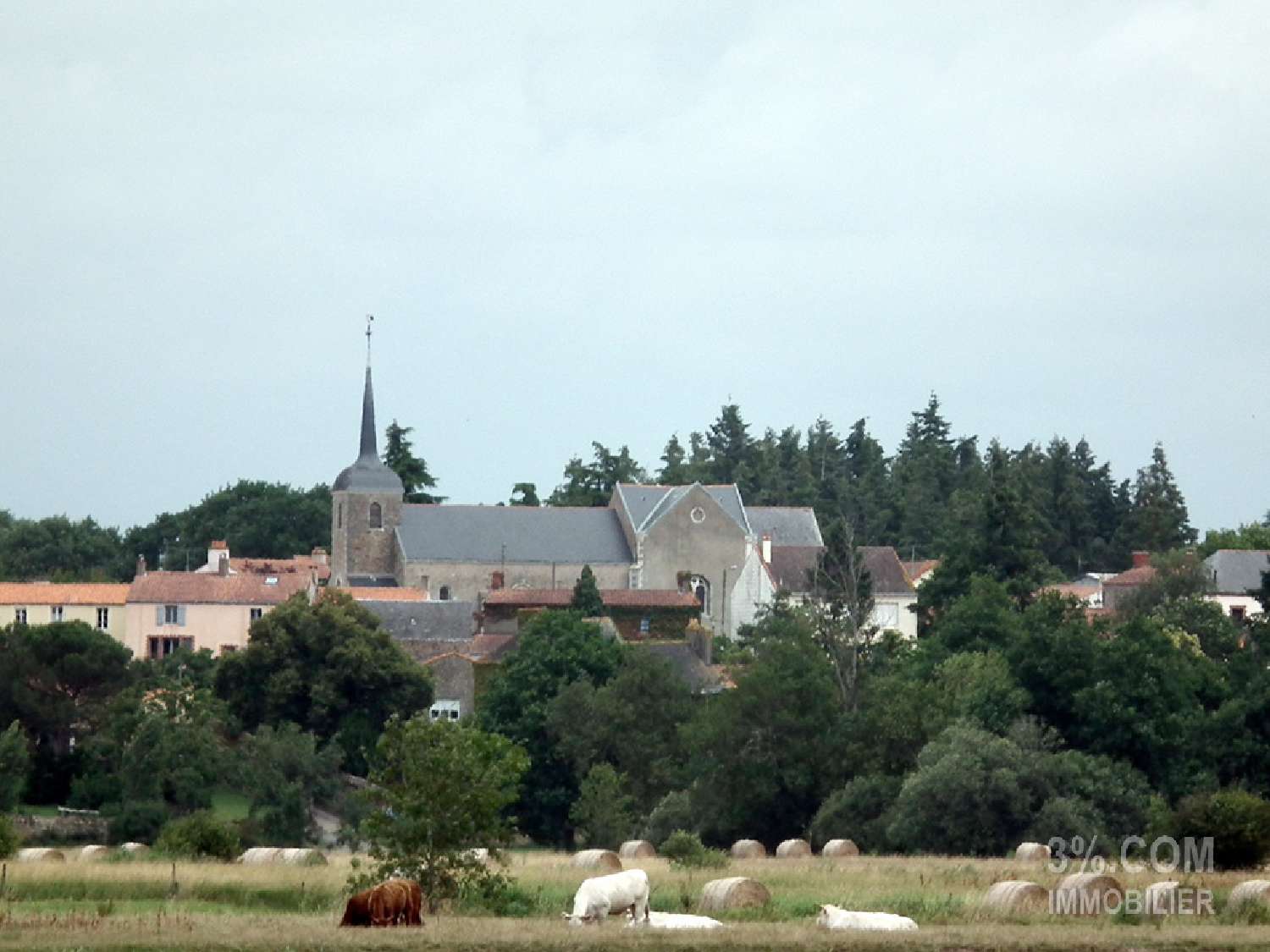  kaufen Grundstück Cheix-en-Retz Loire-Atlantique 3