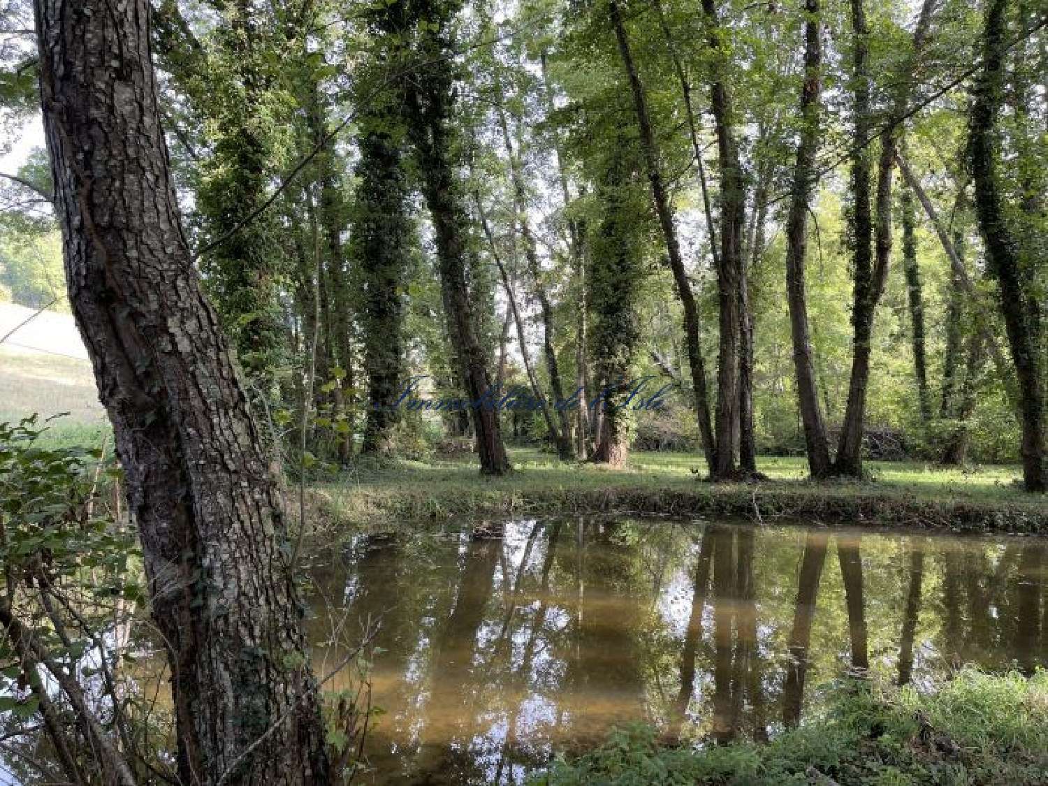  kaufen Grundstück Douchapt Dordogne 4