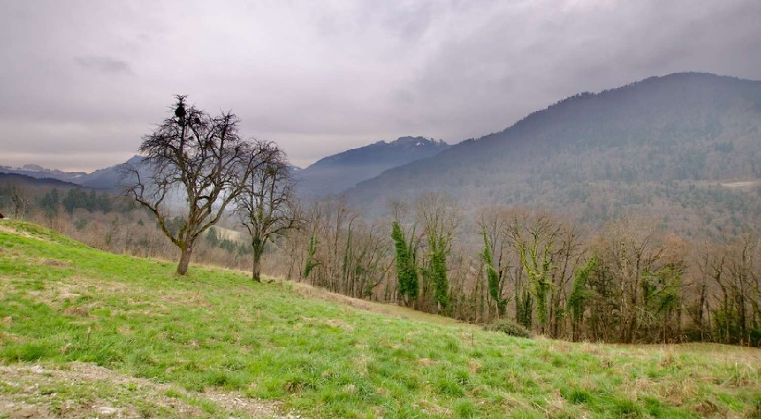  kaufen Grundstück Féternes Haute-Savoie 2