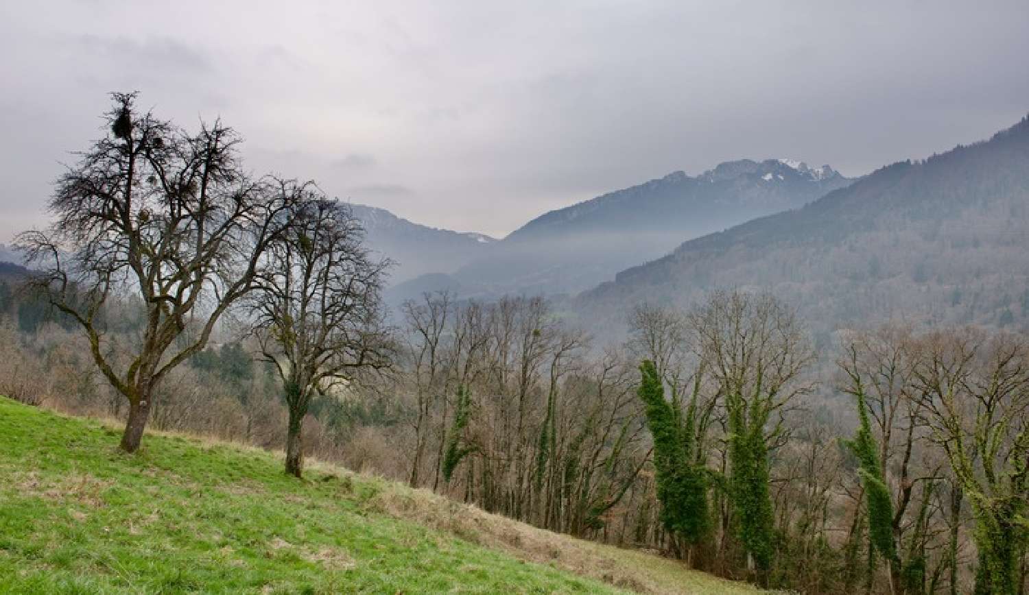  kaufen Grundstück Féternes Haute-Savoie 3