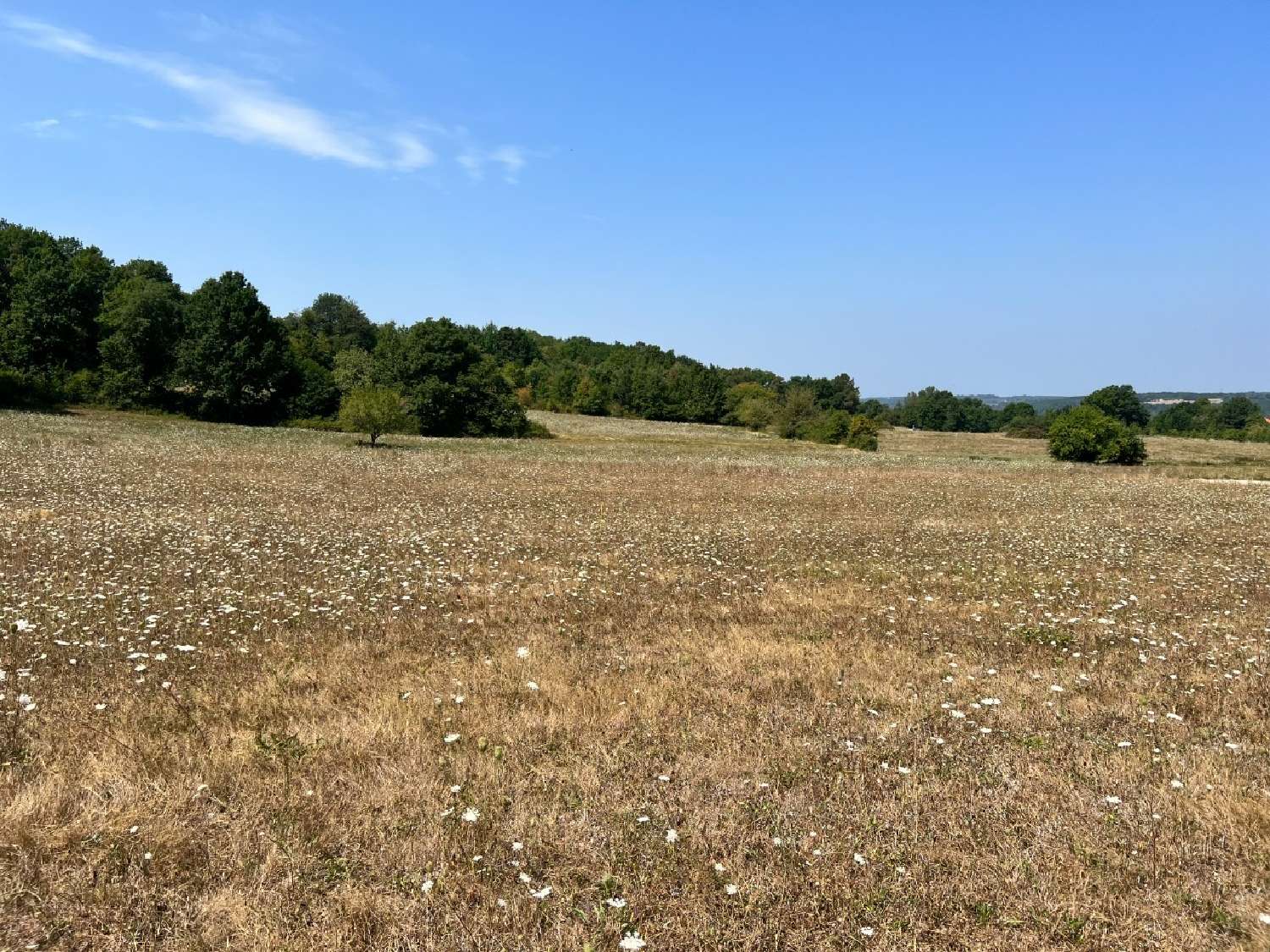  kaufen Grundstück Lanquais Dordogne 3