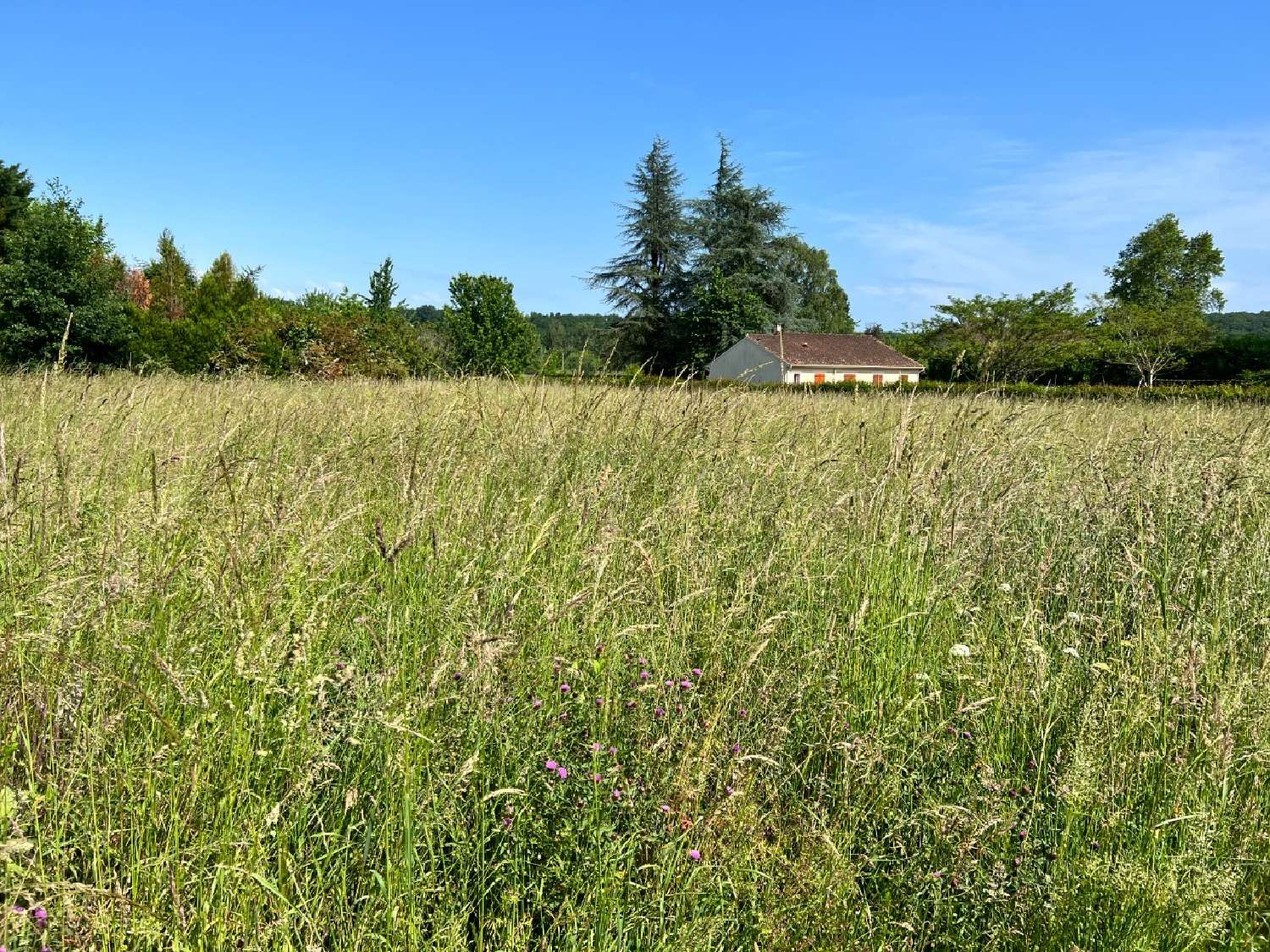  kaufen Grundstück Mauzac-et-Grand-Castang Dordogne 3
