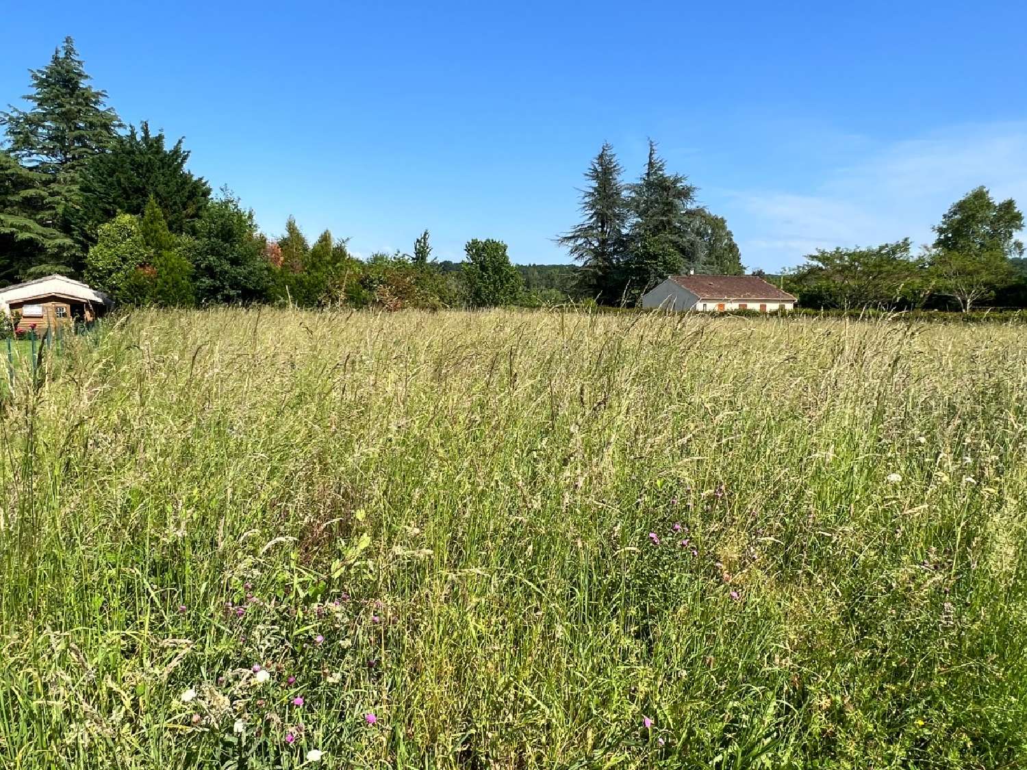  kaufen Grundstück Mauzac-et-Grand-Castang Dordogne 4