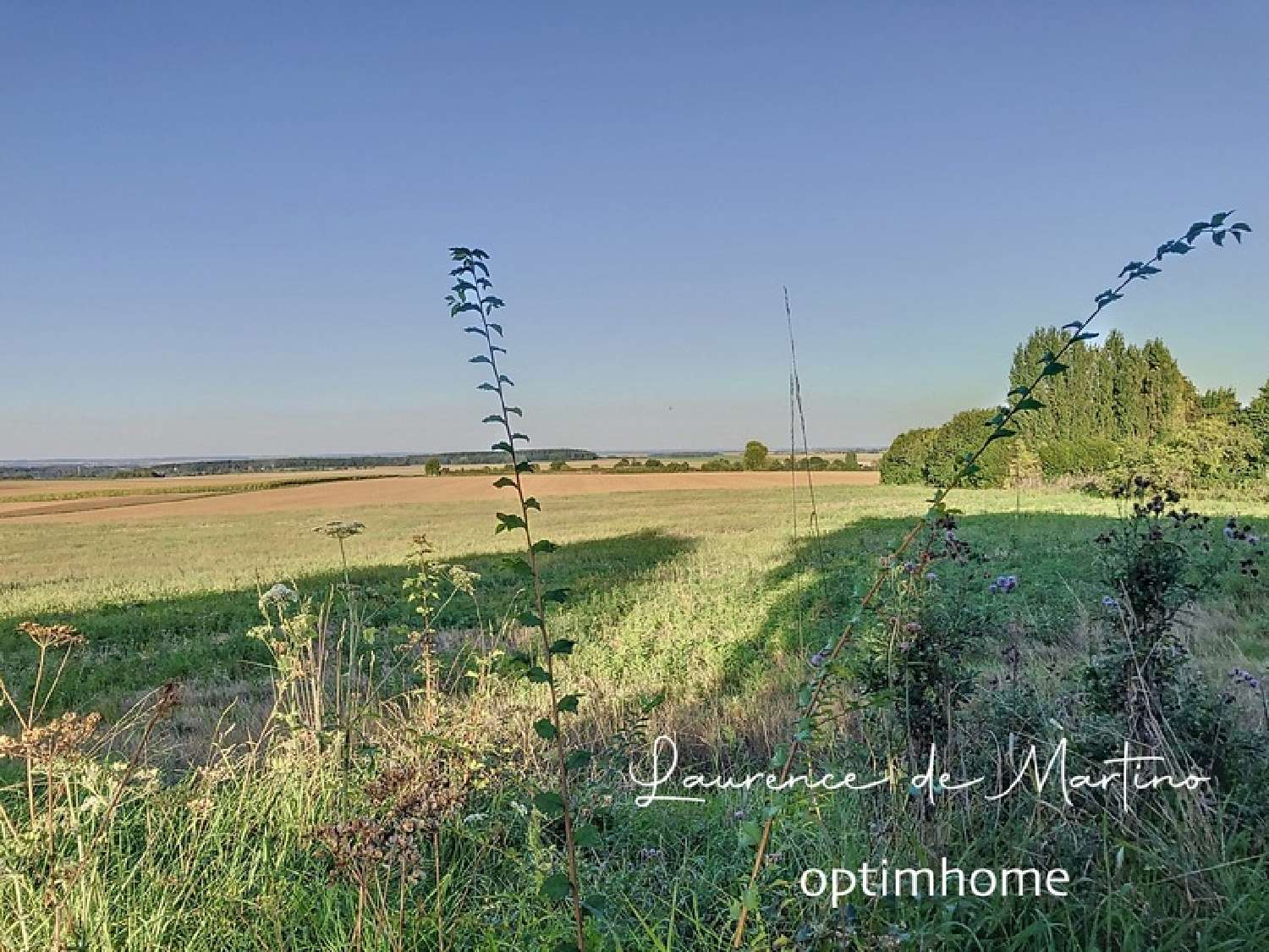 Montjavoult Oise terrain foto 6819392