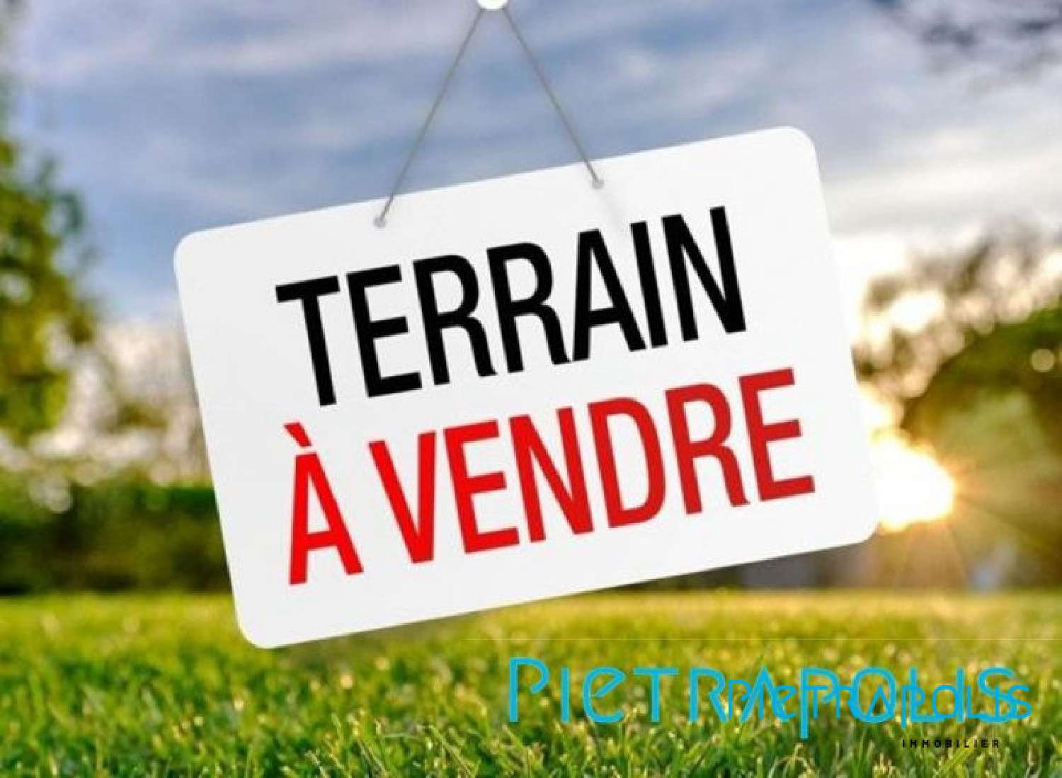  for sale terrain Morancé Rhône 1