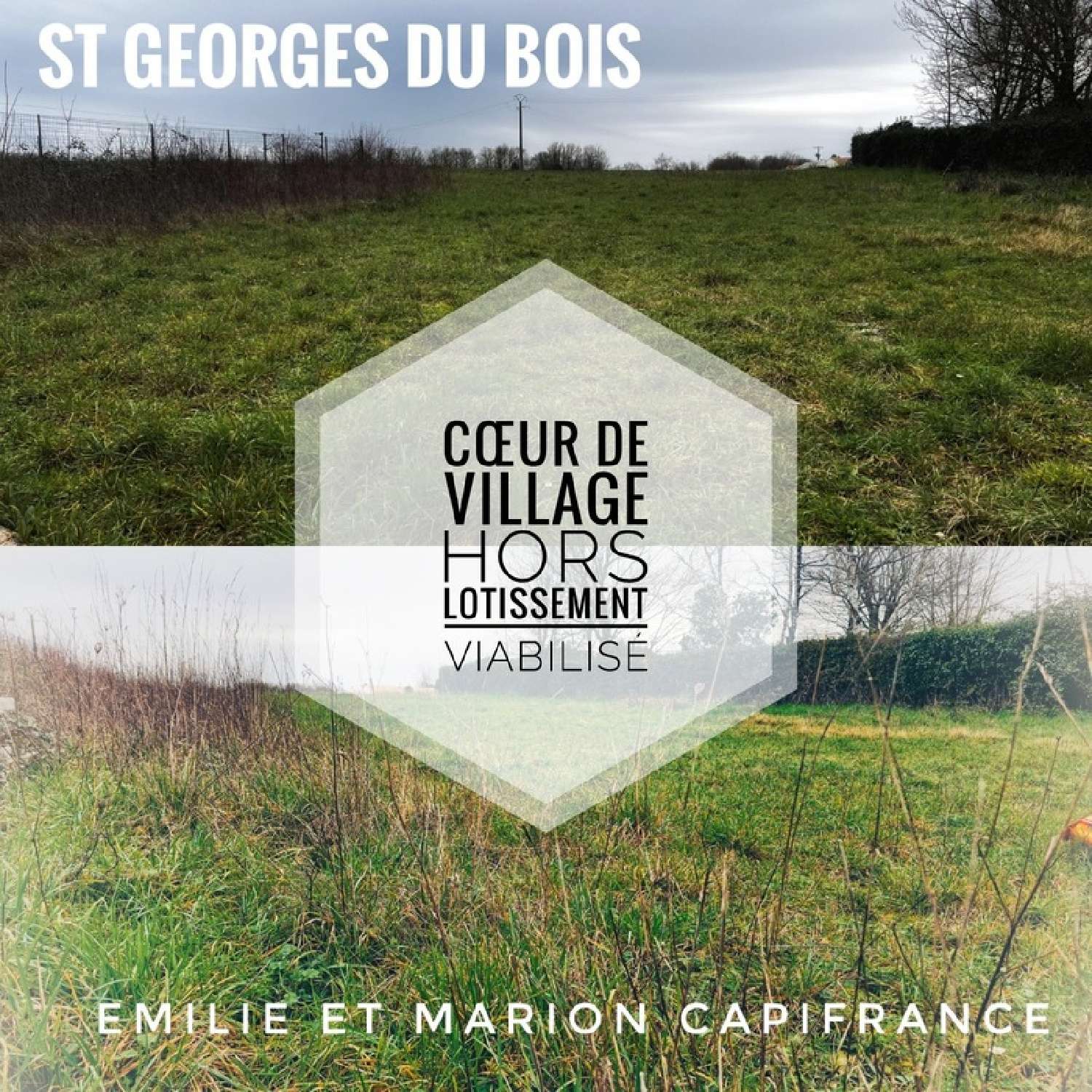 Saint-Georges-du-Bois Charente-Maritime Grundstück Bild 6810248