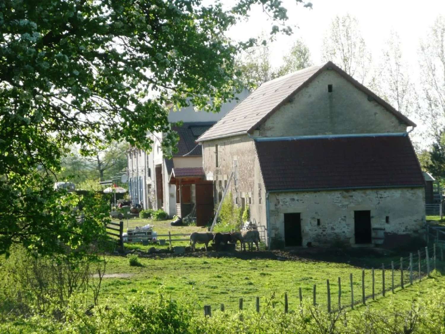  kaufen Grundstück Sainte-Marie Nièvre 6