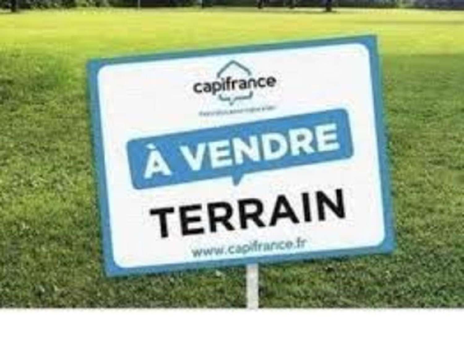  for sale terrain Segonzac Charente 1