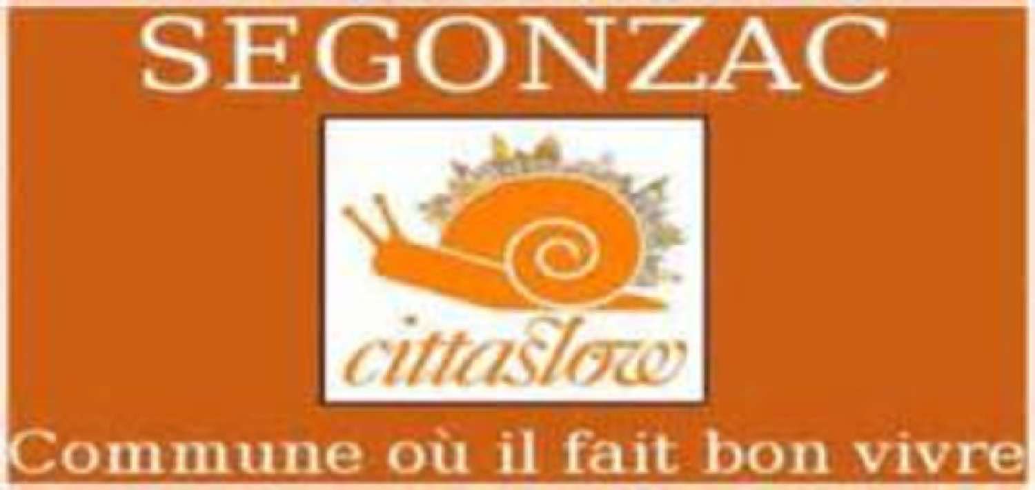  à vendre terrain Segonzac Charente 6