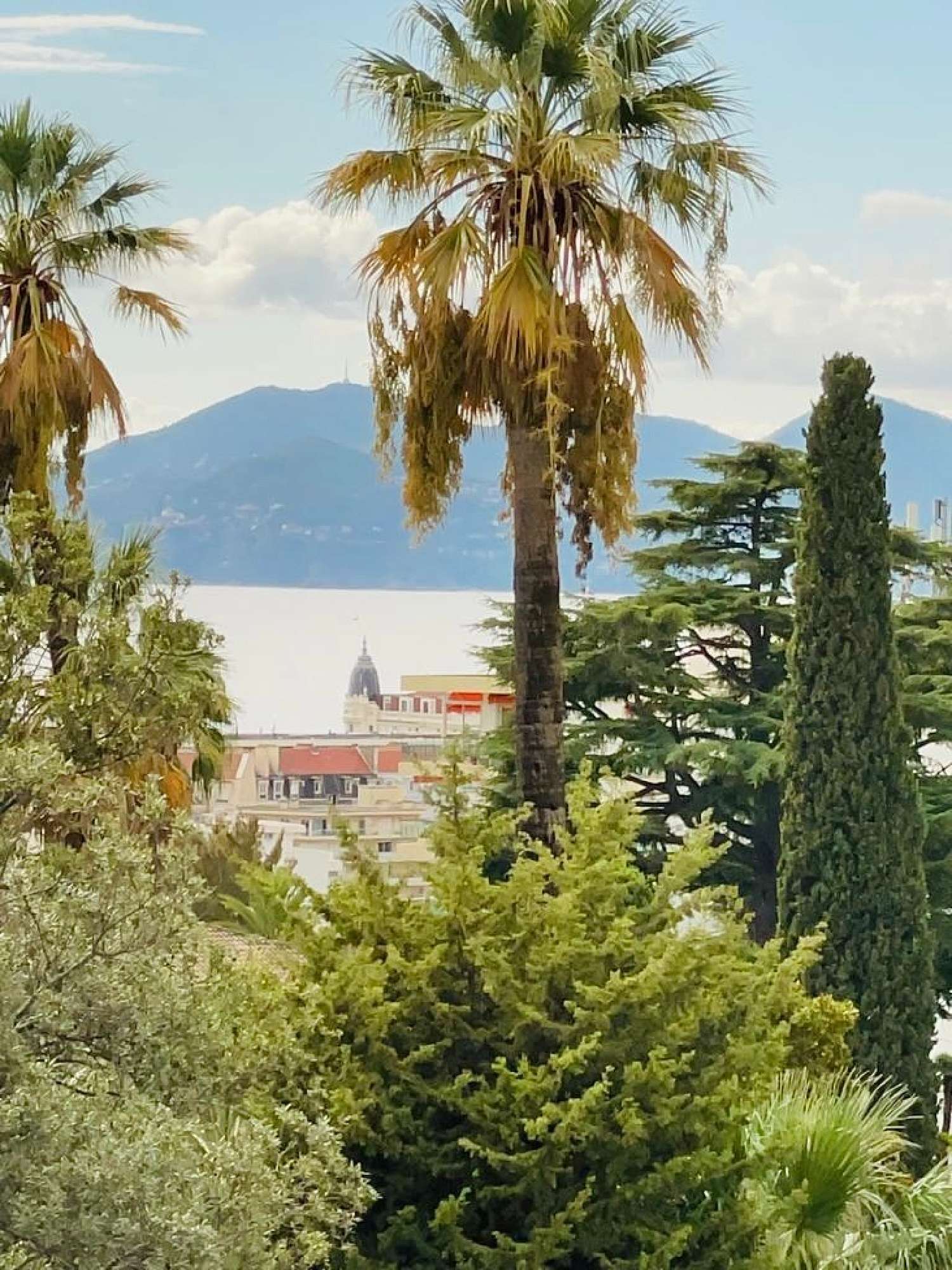  kaufen Villa Cannes La Bocca Alpes-Maritimes 8