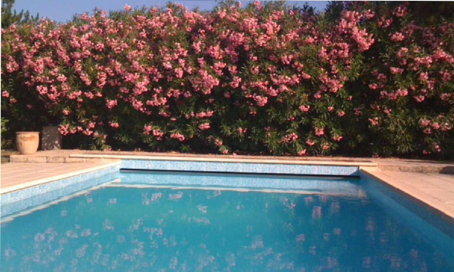  à vendre villa Montauroux Var 6