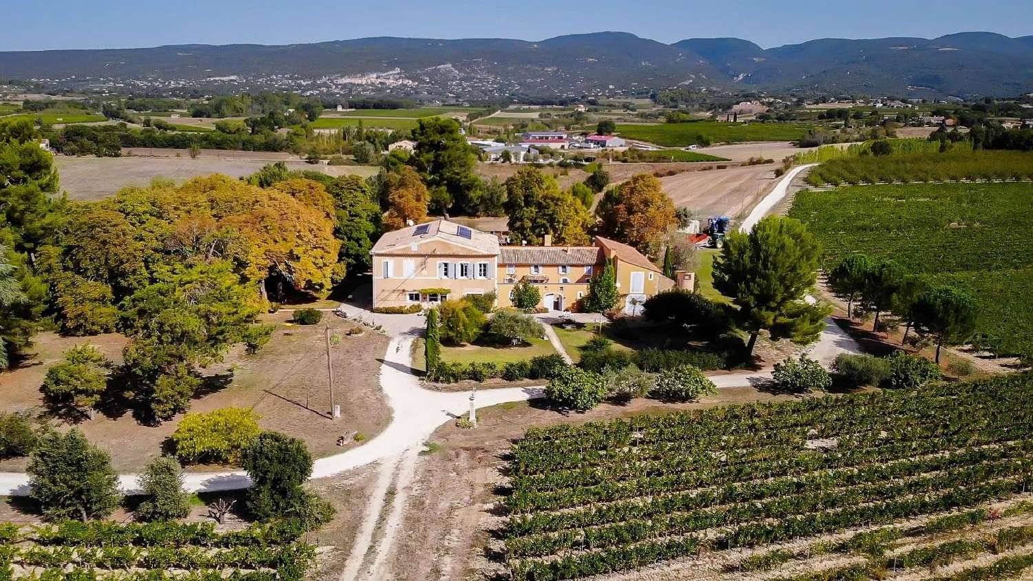  for sale vineyard Apt Vaucluse 1