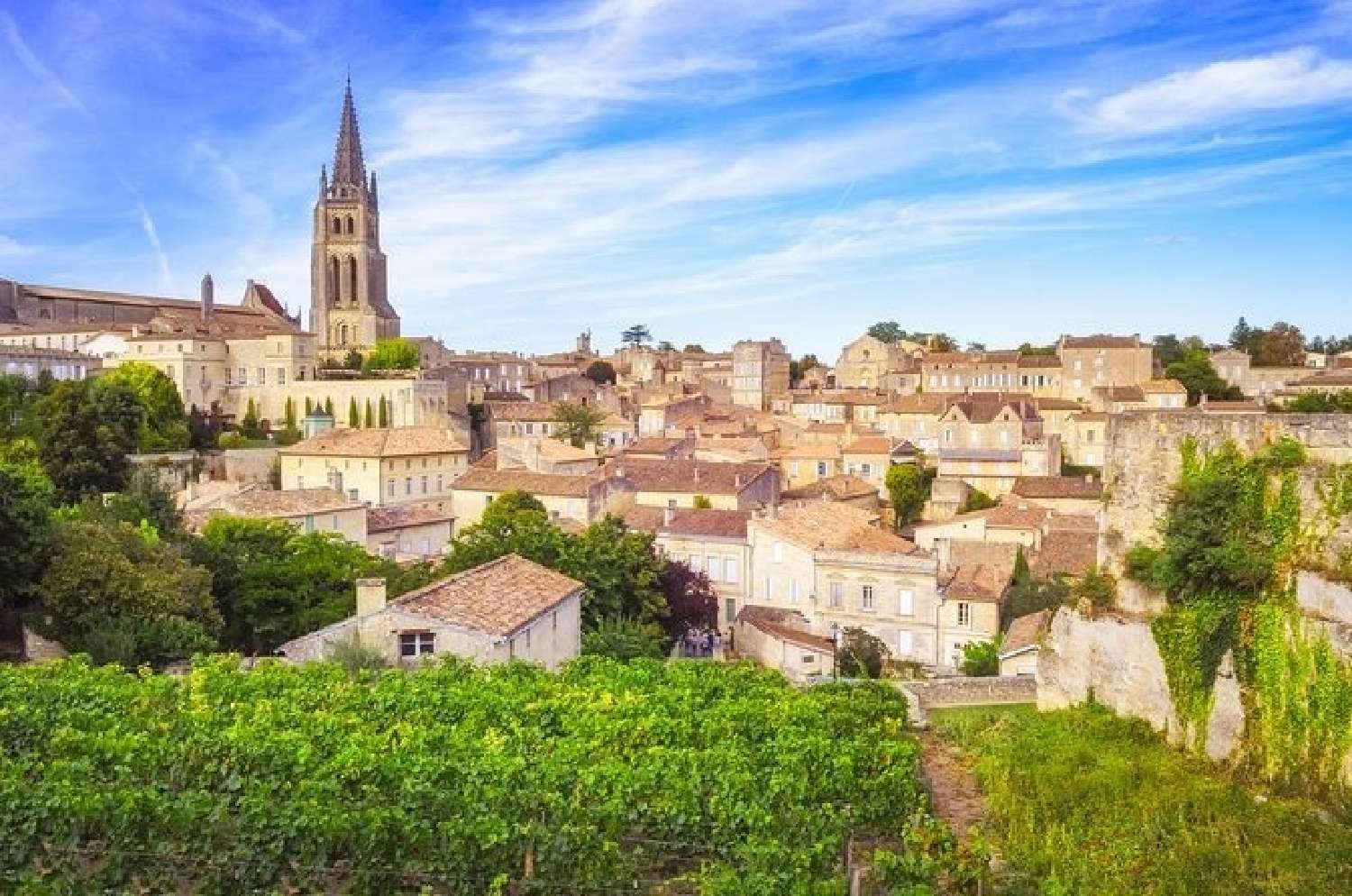  à vendre vignoble Bordeaux Gironde 2