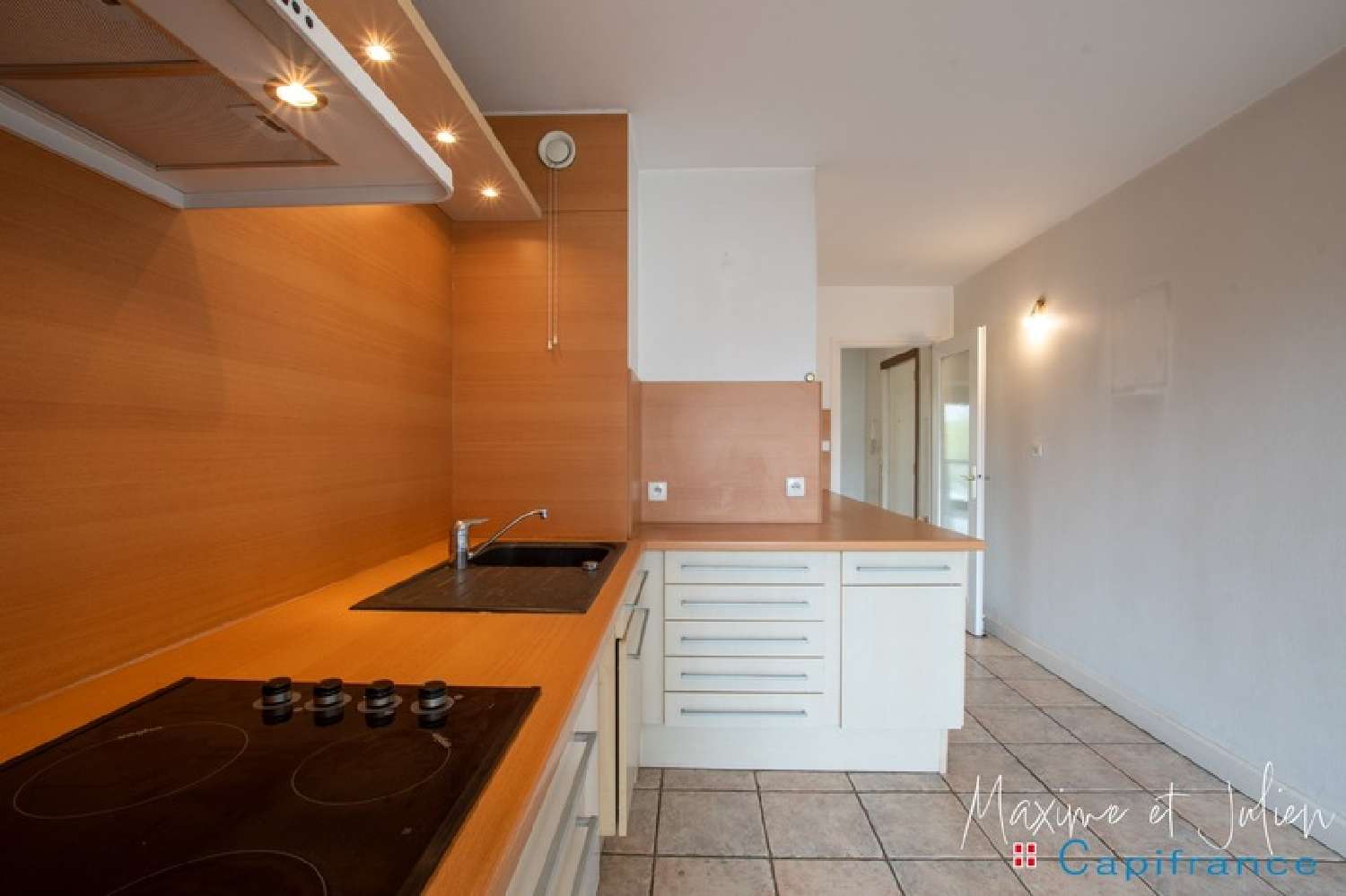  à vendre appartement Grenoble 38100 Isère 8