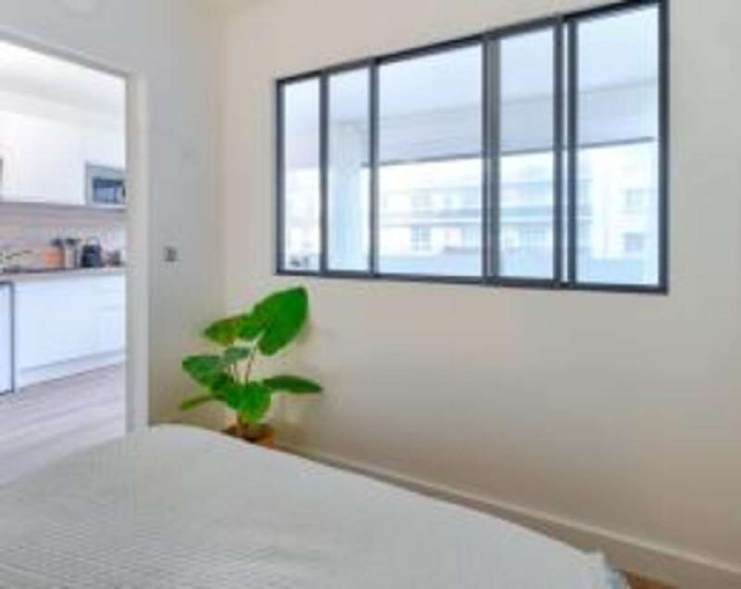  kaufen Wohnung/ Apartment Toulouse 31100 Haute-Garonne 2