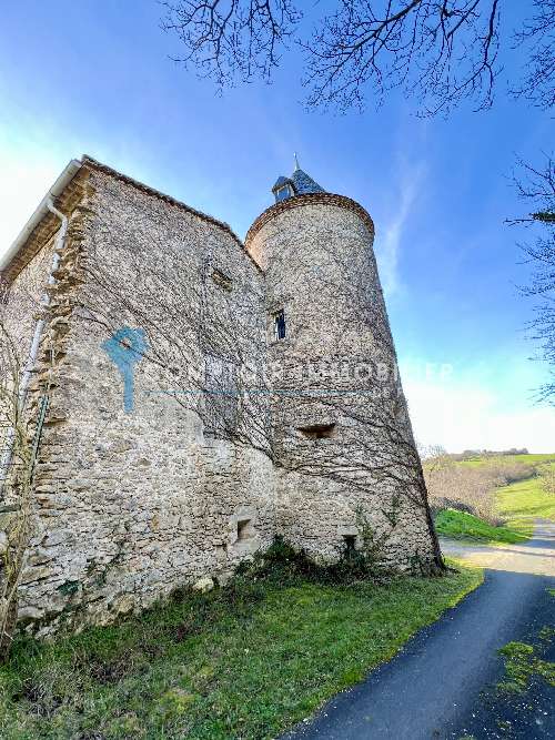 Castres Tarn castle foto