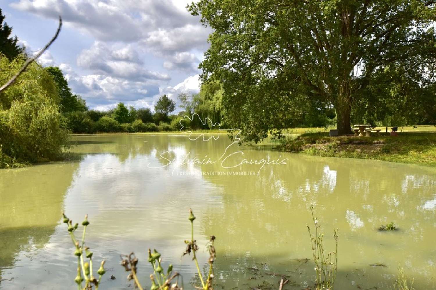  te koop landgoed Sully-sur-Loire Loiret 3