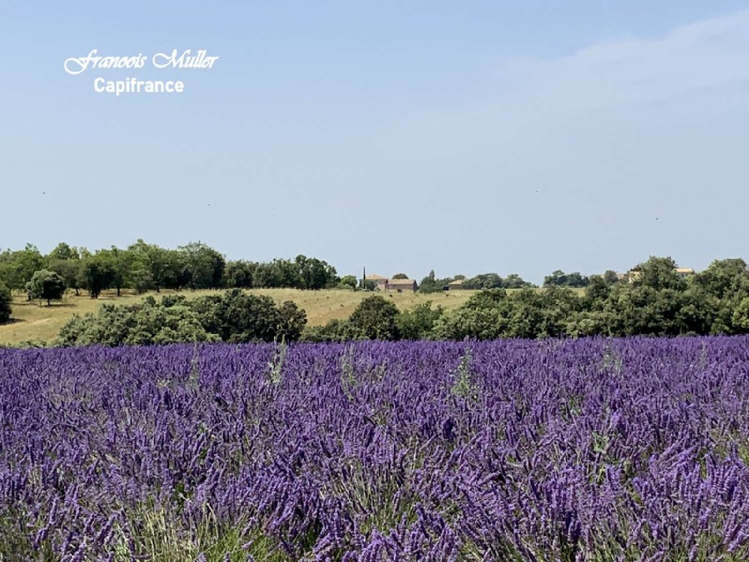 Valensole Alpes-de-Haute-Provence landgoed foto 6855789