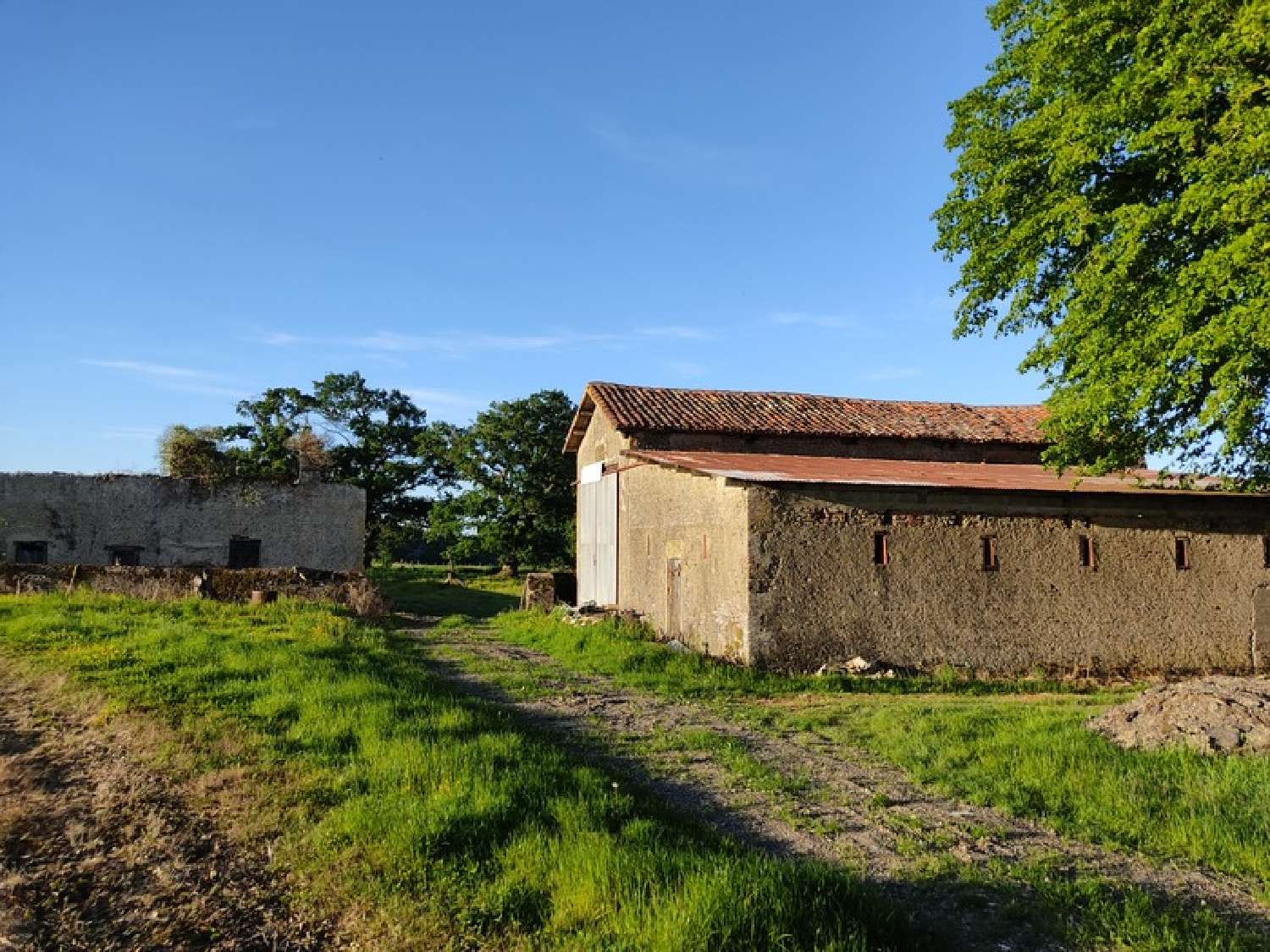  kaufen Bauernhof Aire-sur-l'Adour Landes 1