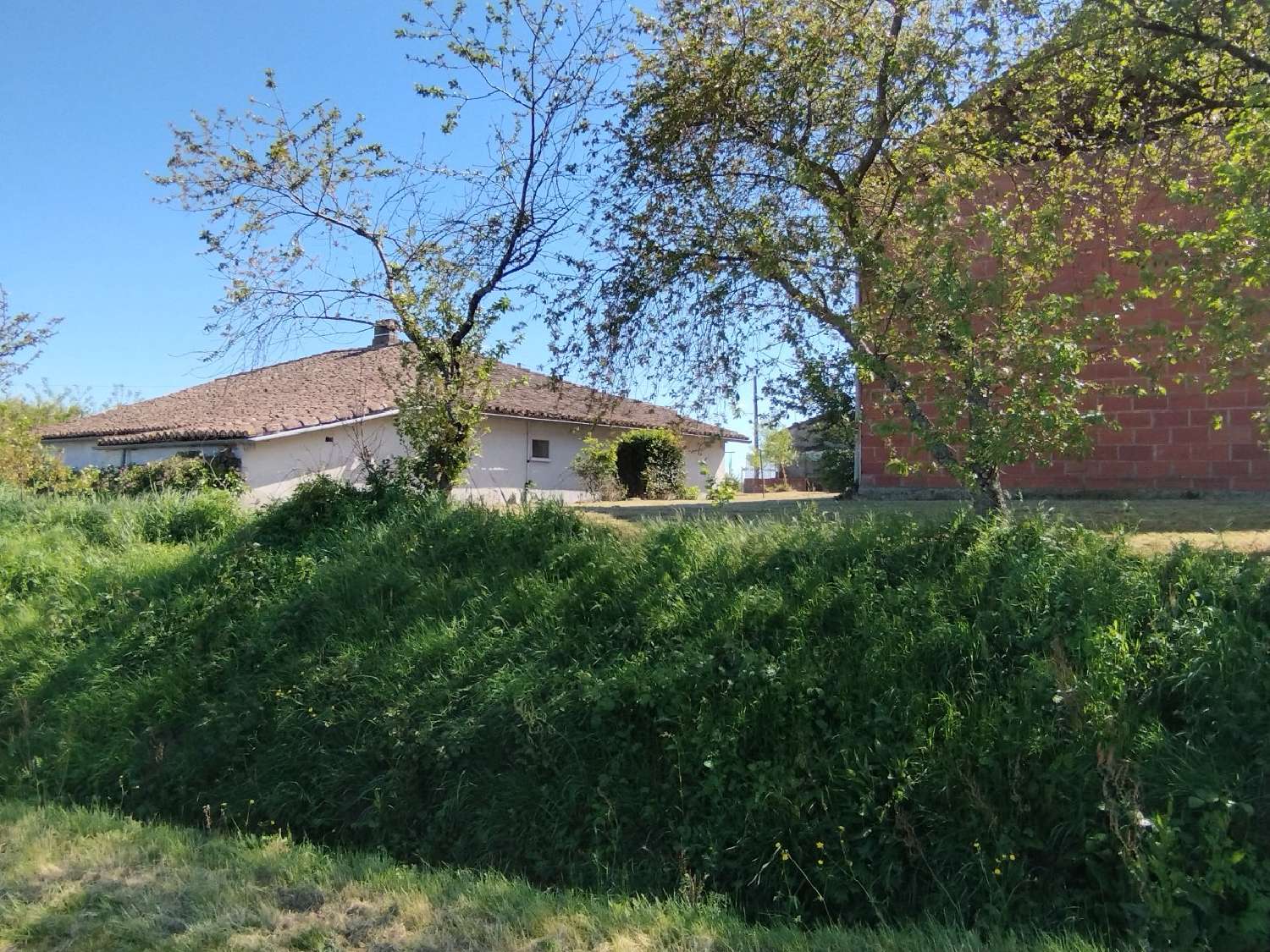 Belbèse Tarn-et-Garonne Bauernhof Bild 6854771