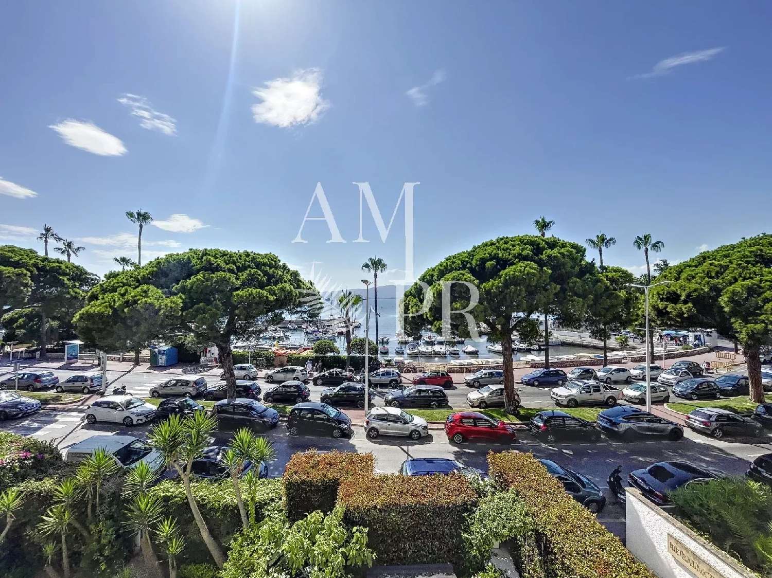  for sale house Cannes Alpes-Maritimes 3