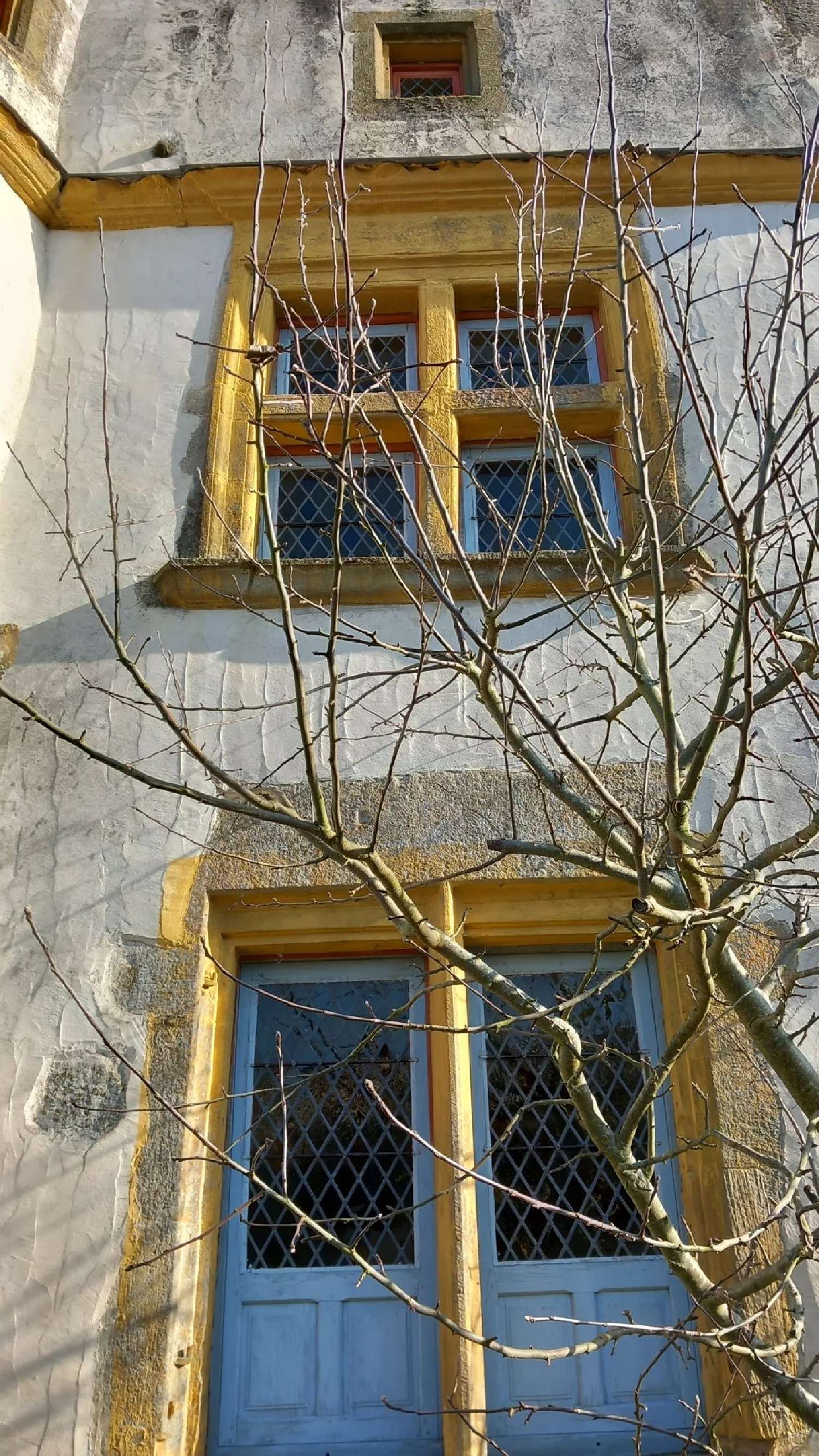  à vendre maison Châtillon-sur-Saône Vosges 5