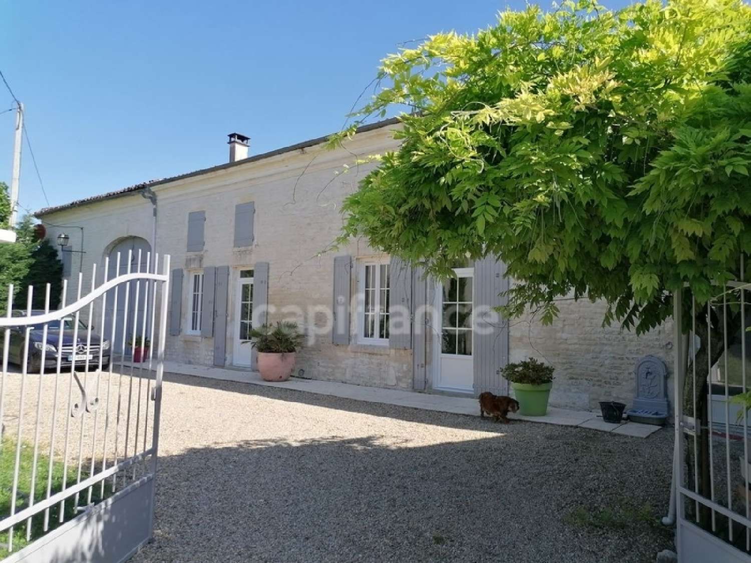  te koop huis Fontaine-Chalendray Charente-Maritime 1