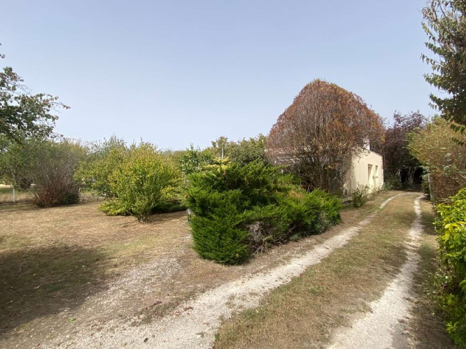  à vendre maison Saint-Antoine-sur-l'Isle Gironde 5