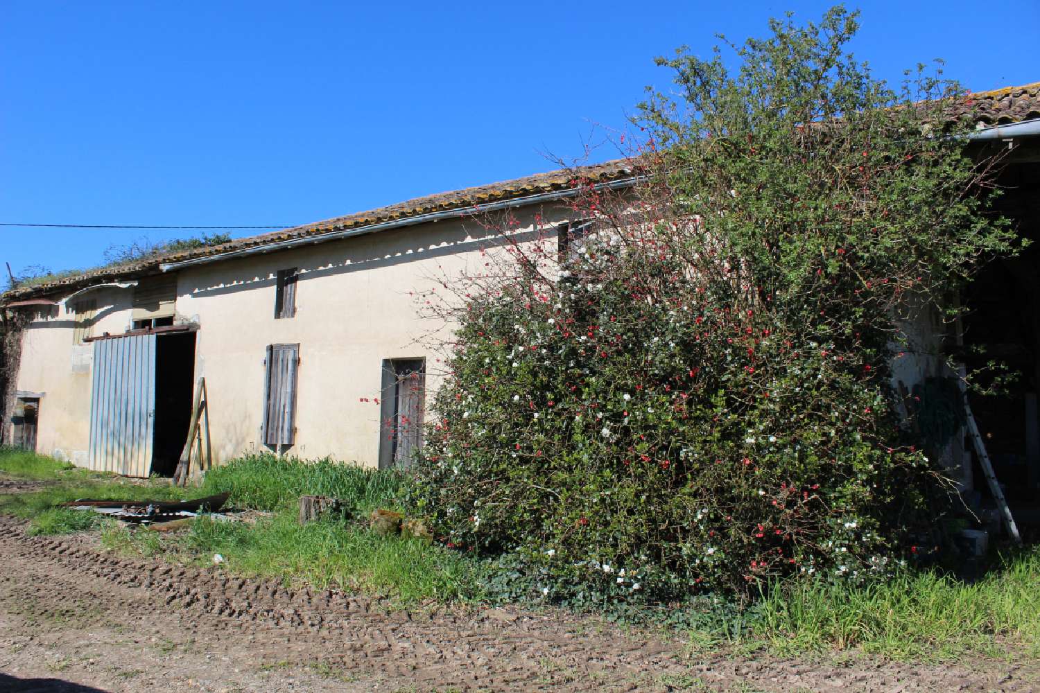  for sale house Marmande Lot-et-Garonne 2
