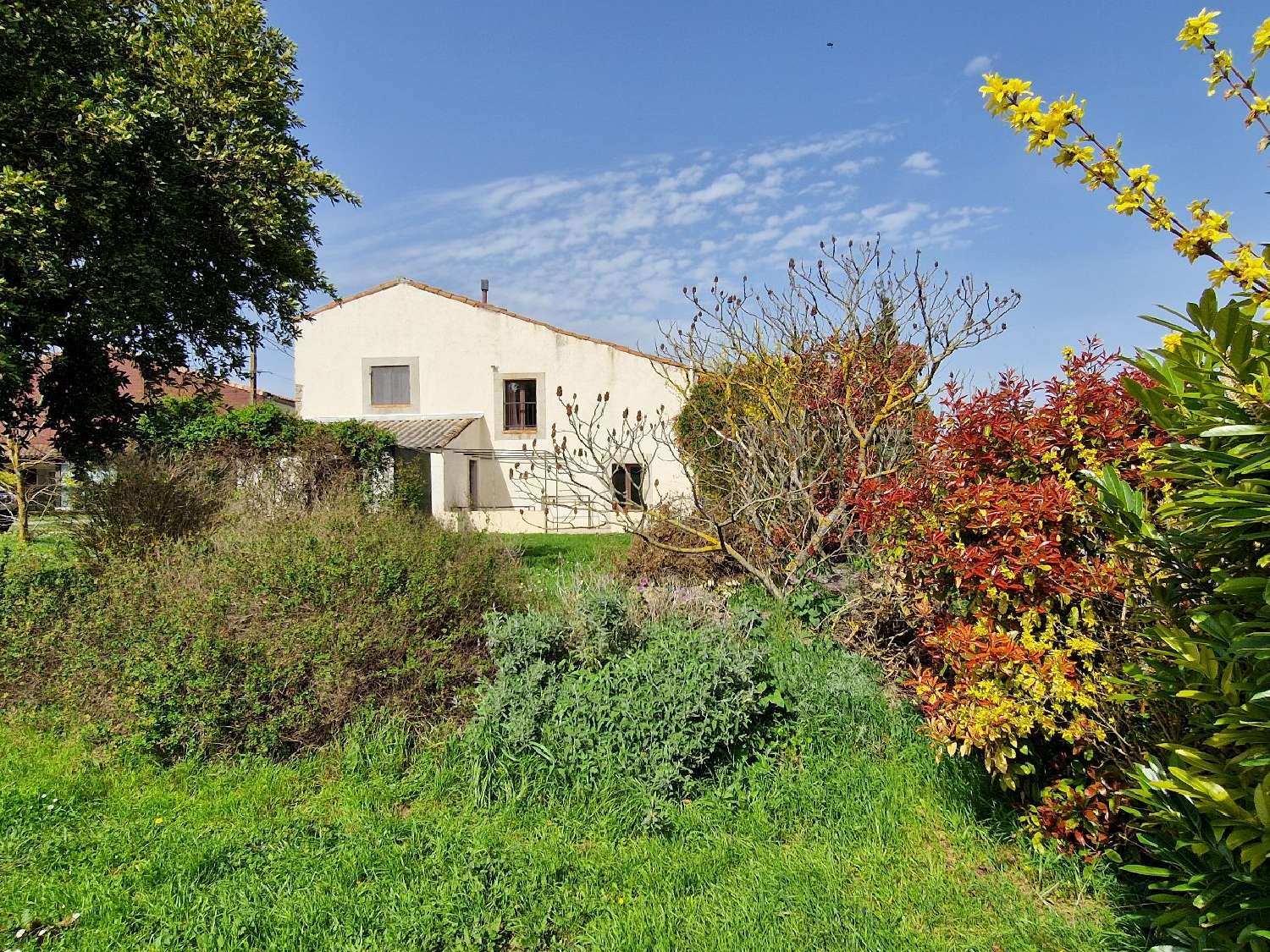  te koop huis Mirepoix Ariège 2