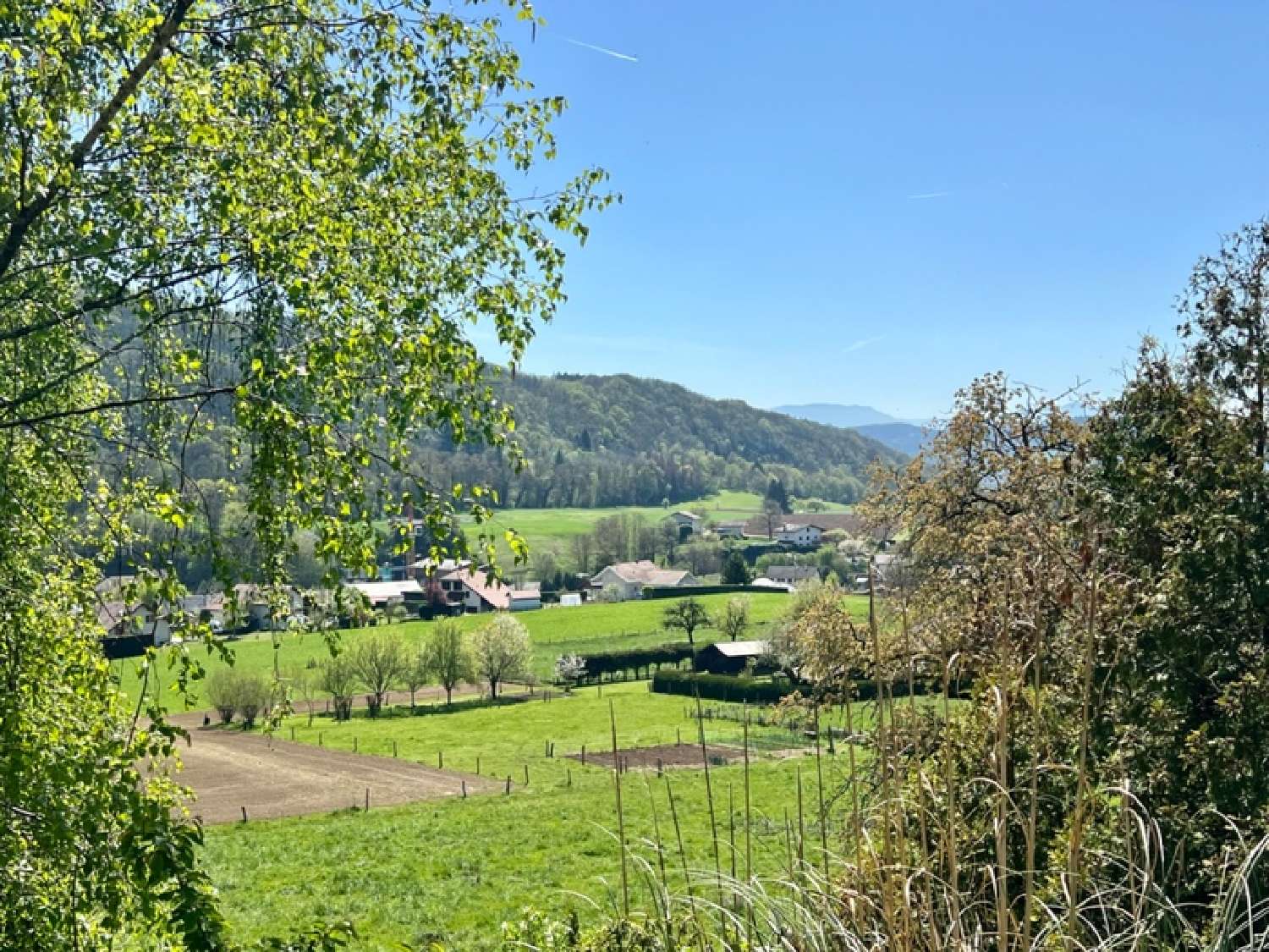  kaufen Haus Nonglard Haute-Savoie 7