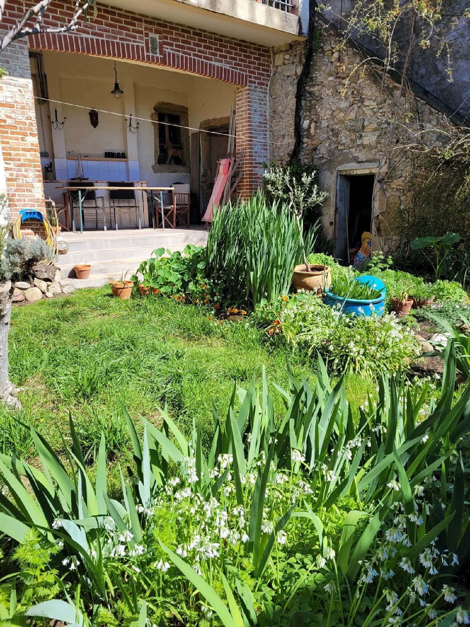  kaufen Haus Corneilhan Hérault 3