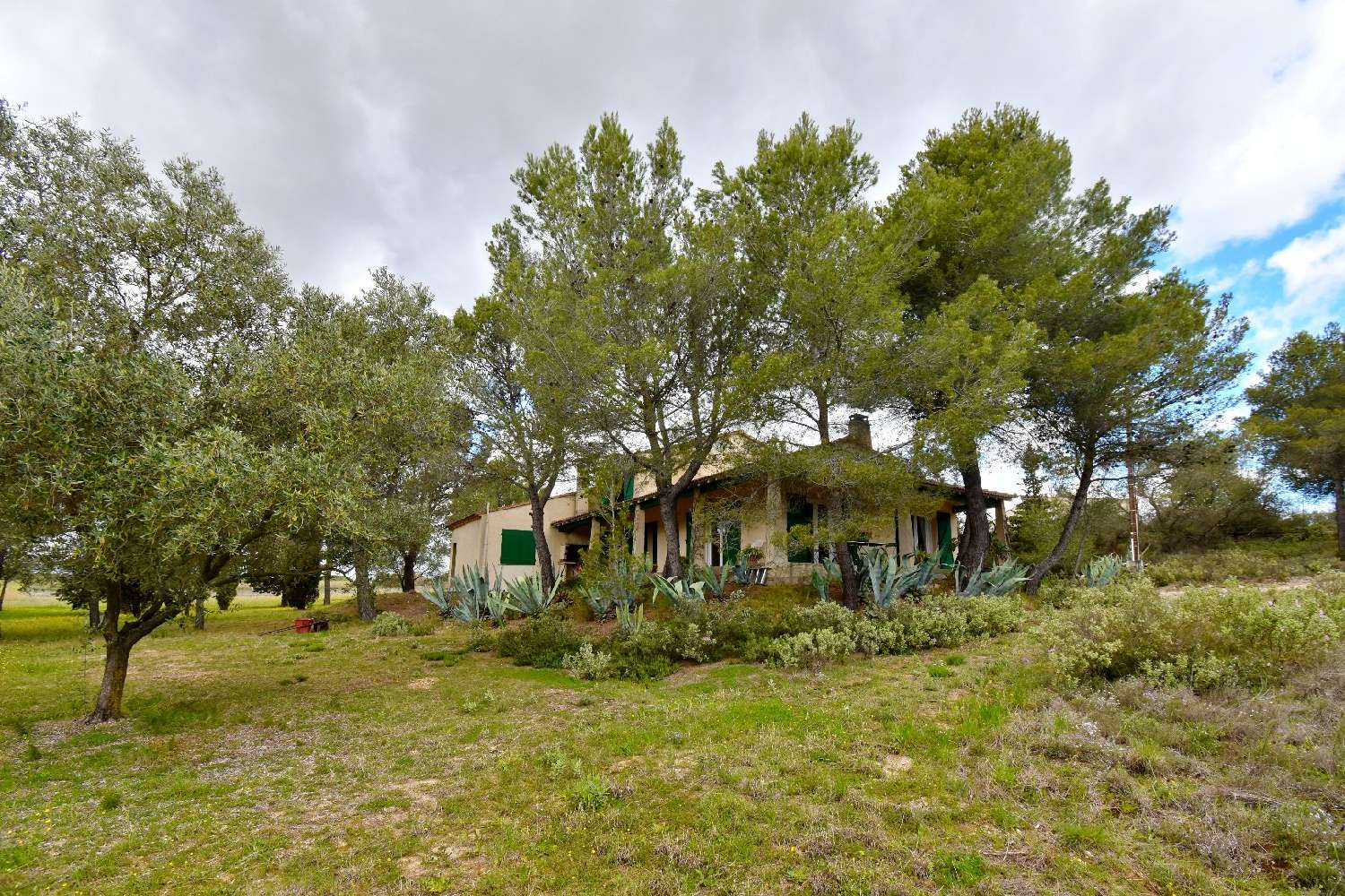  te koop huis Pézenas Hérault 2