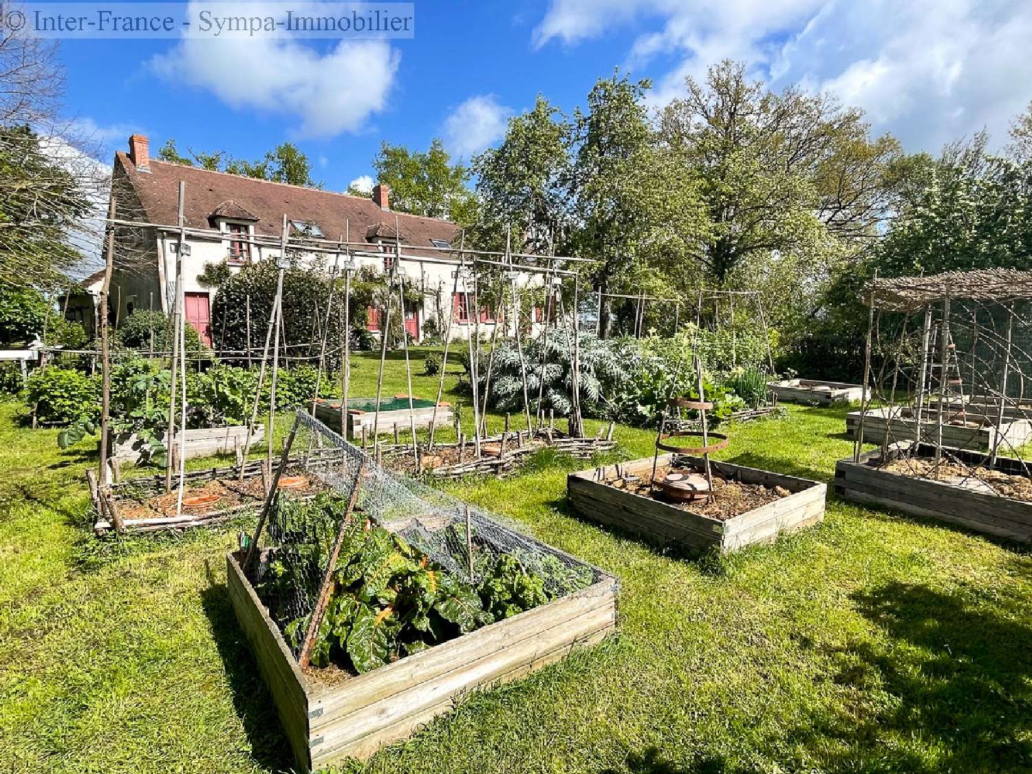 maison à vendre Reigny, Cher ( Centre-Val de Loire) foto 6