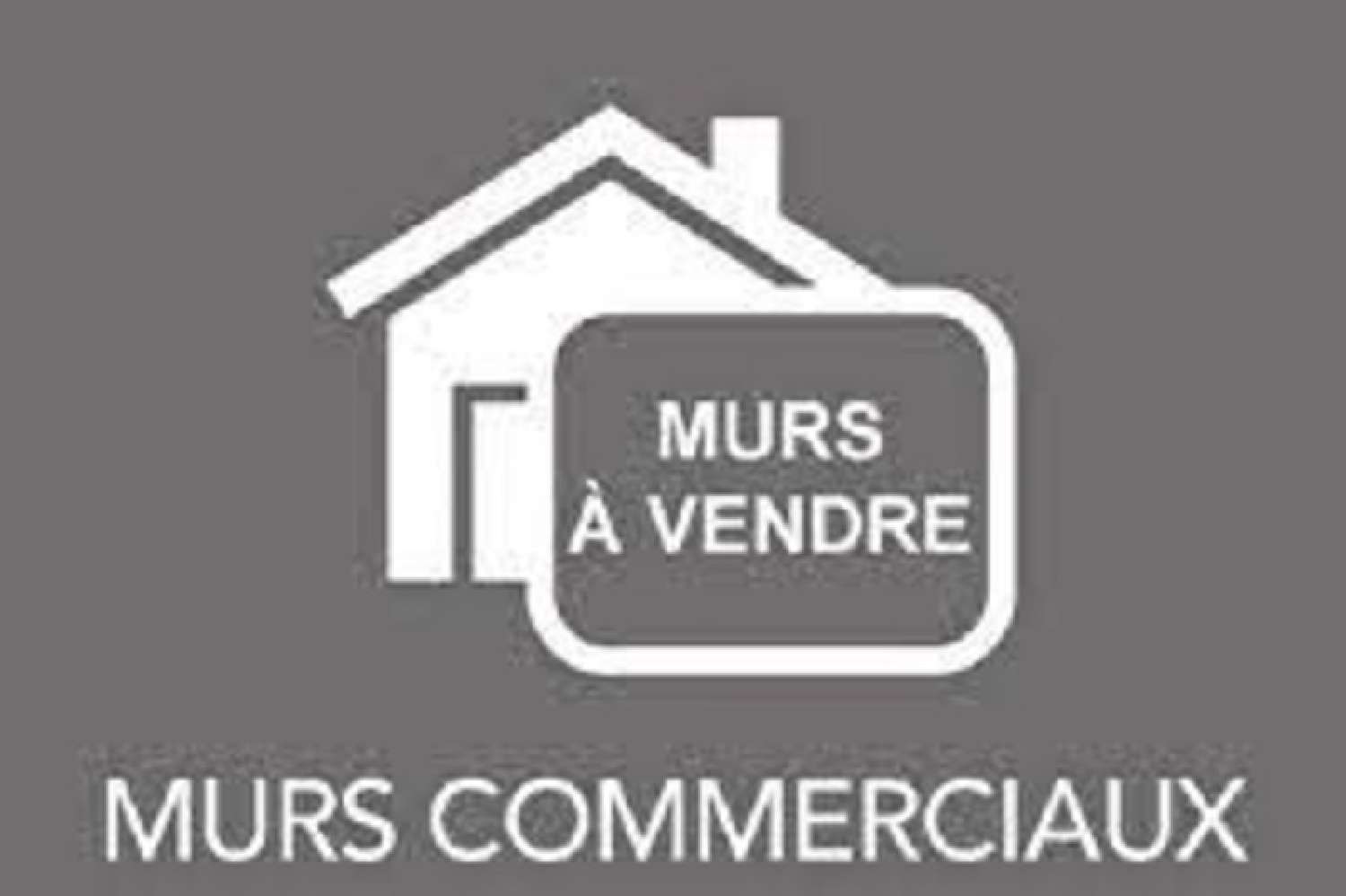  à vendre maison Saint-Michel-sur-Orge Essonne 1