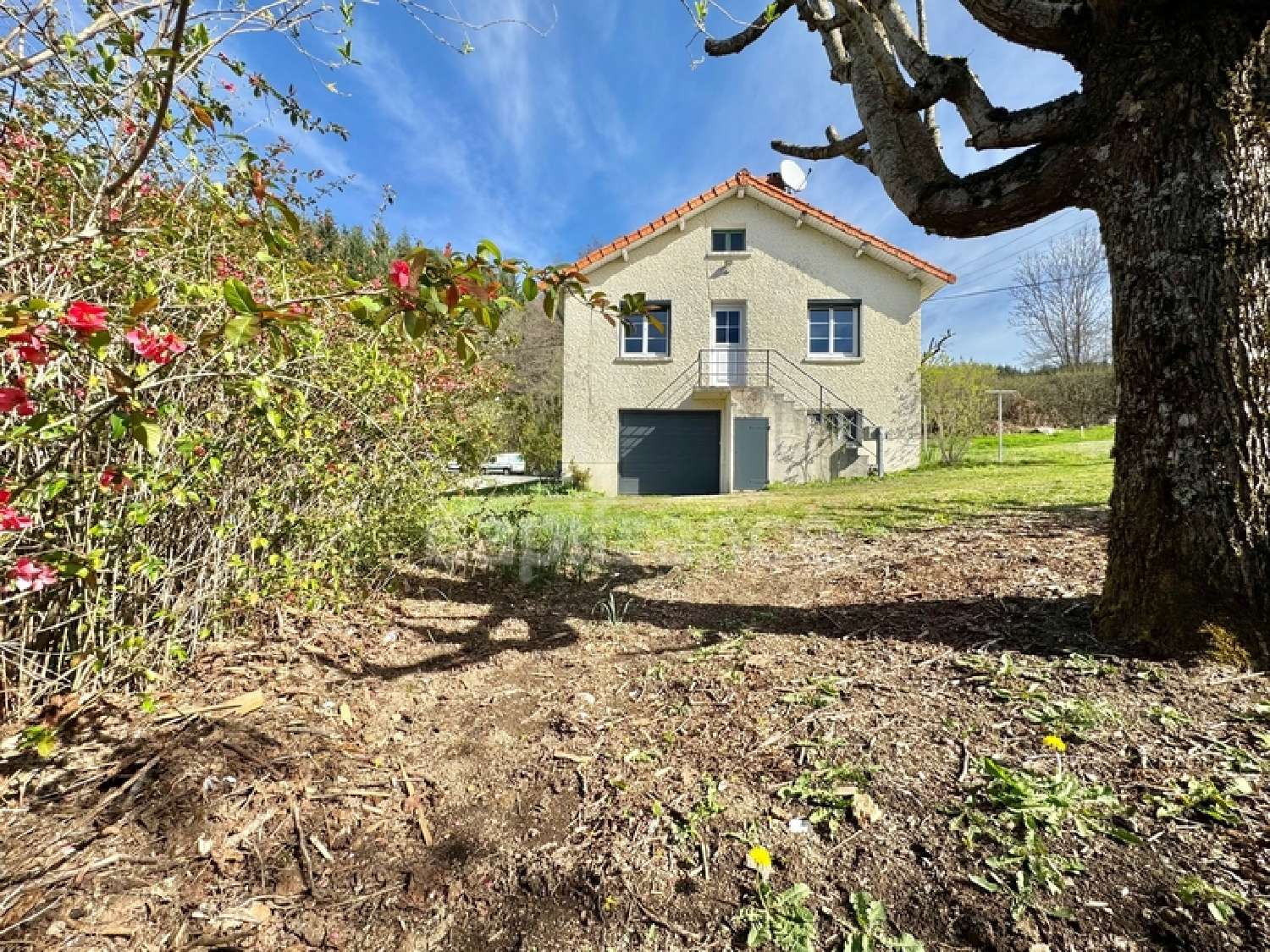 à vendre maison Saint-Priest-la-Prugne Loire 8