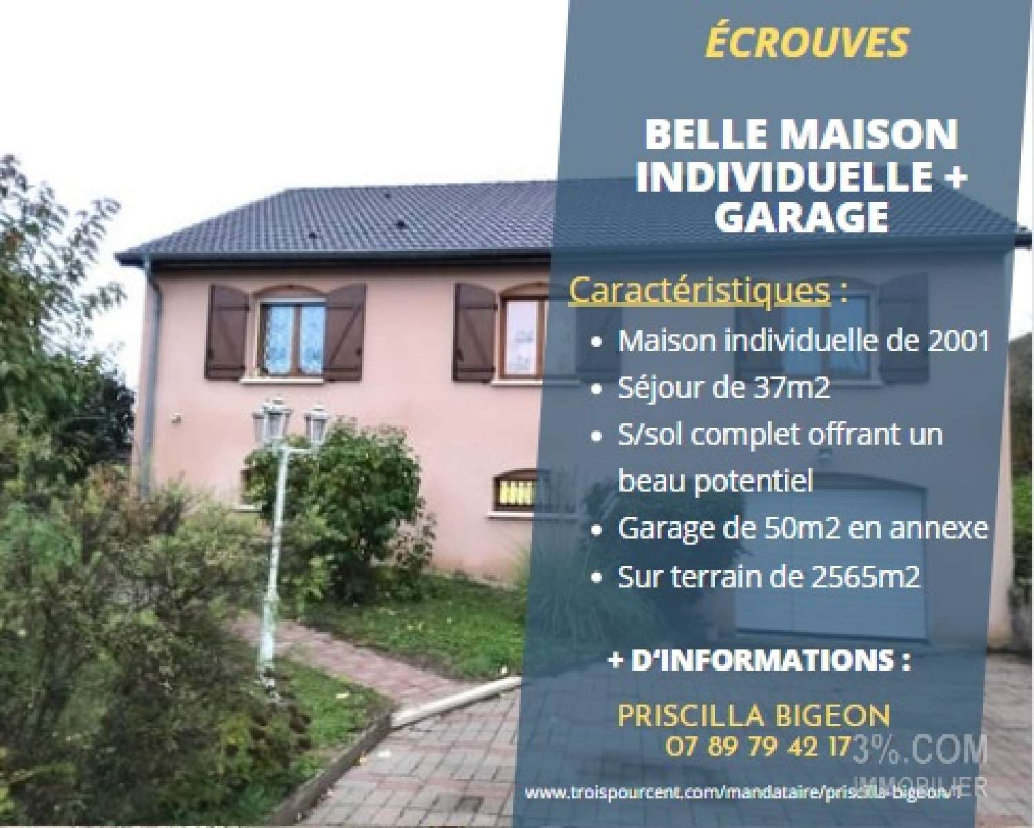  te koop huis Toul Meurthe-et-Moselle 1