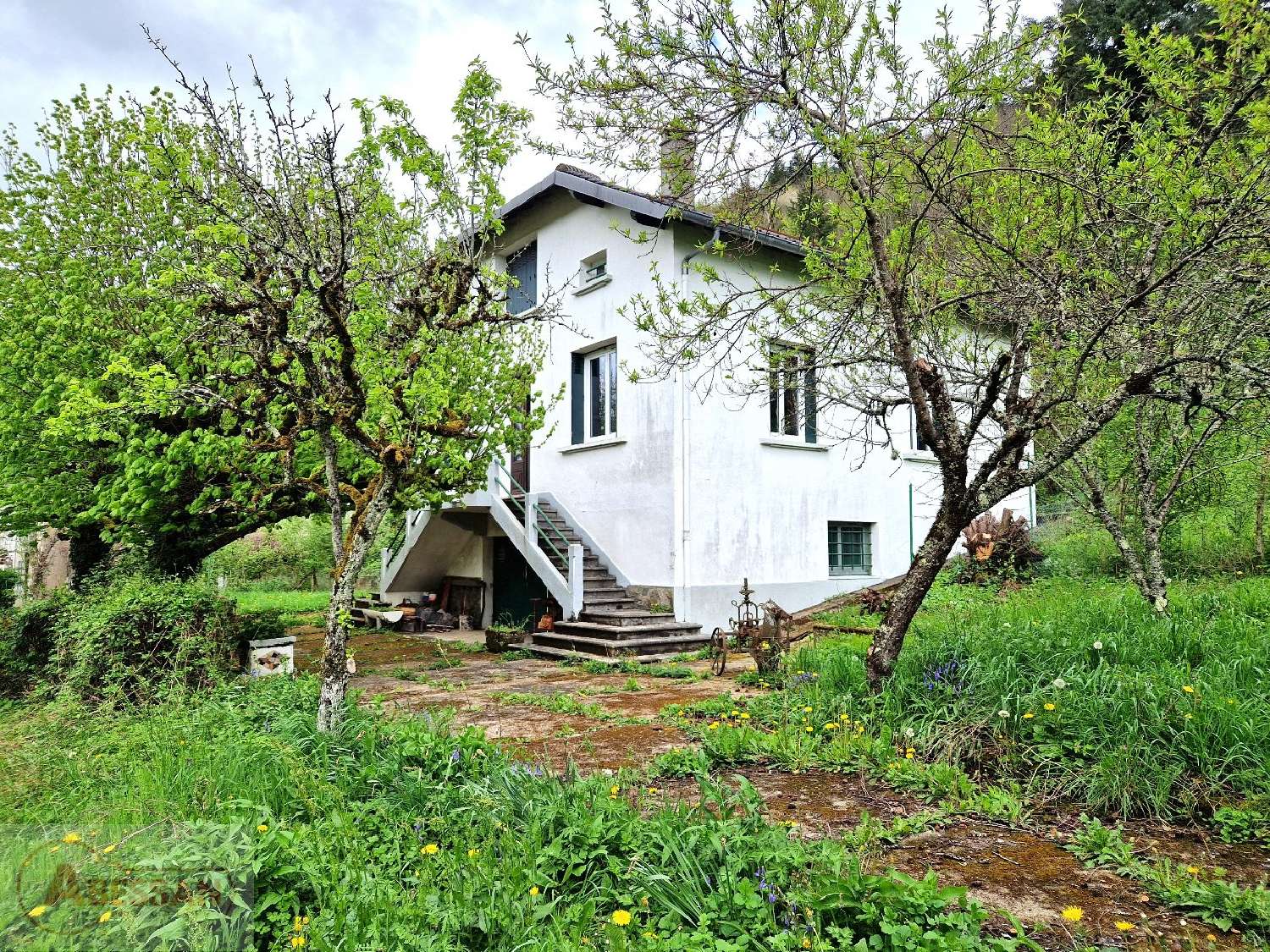  for sale house Vabre Tarn 1