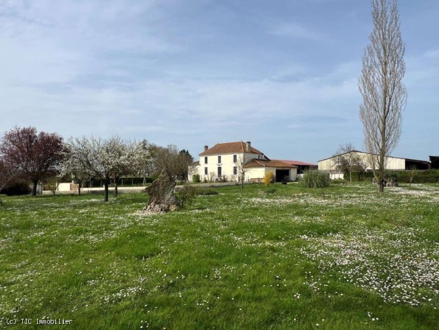 te koop huis Villefagnan Charente 7