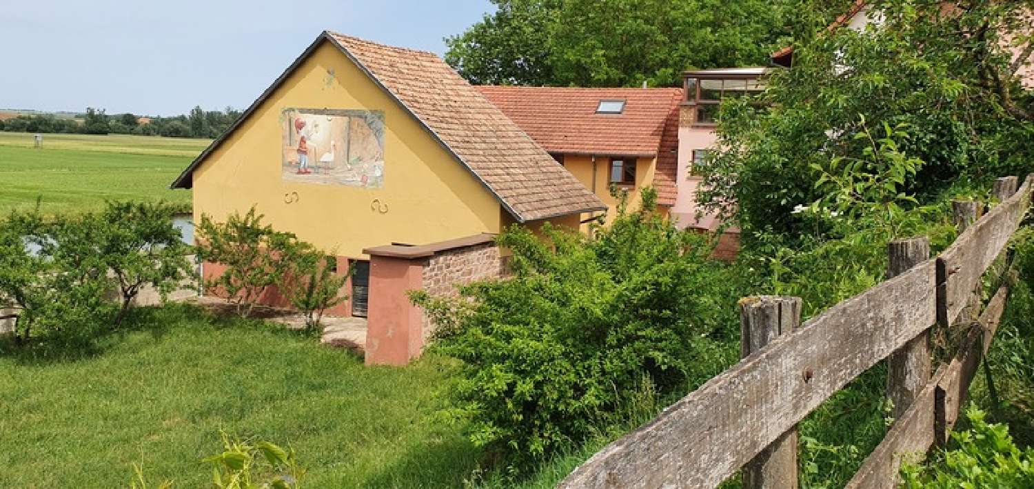  te koop huis Waltenheim-sur-Zorn Bas-Rhin 4