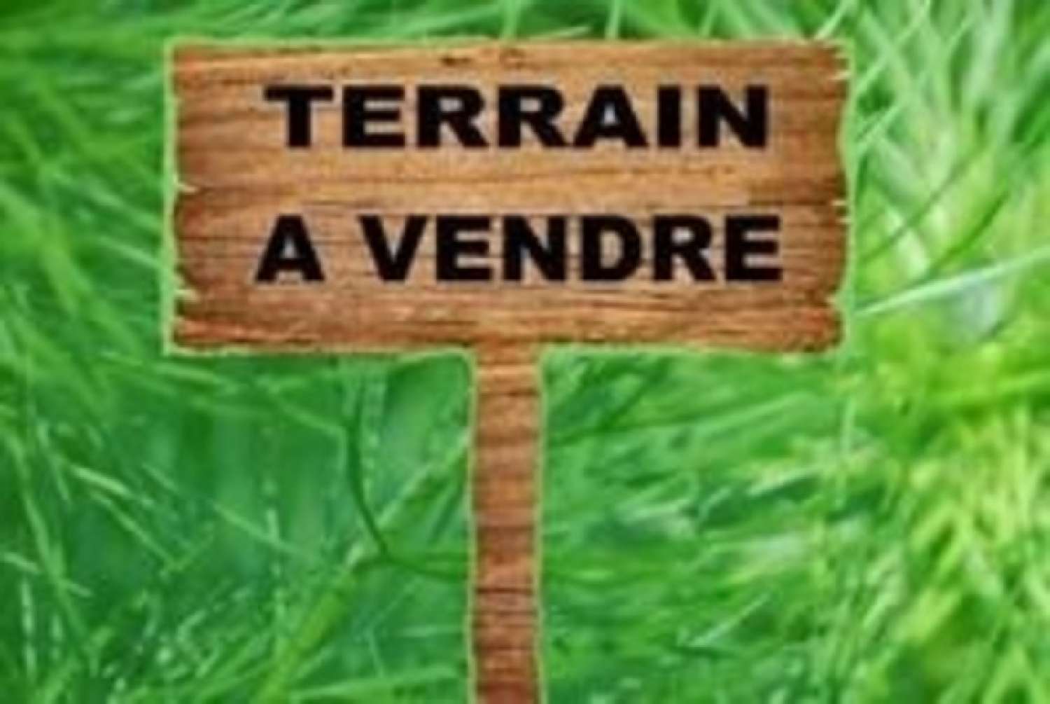  for sale terrain Brézins Isère 1