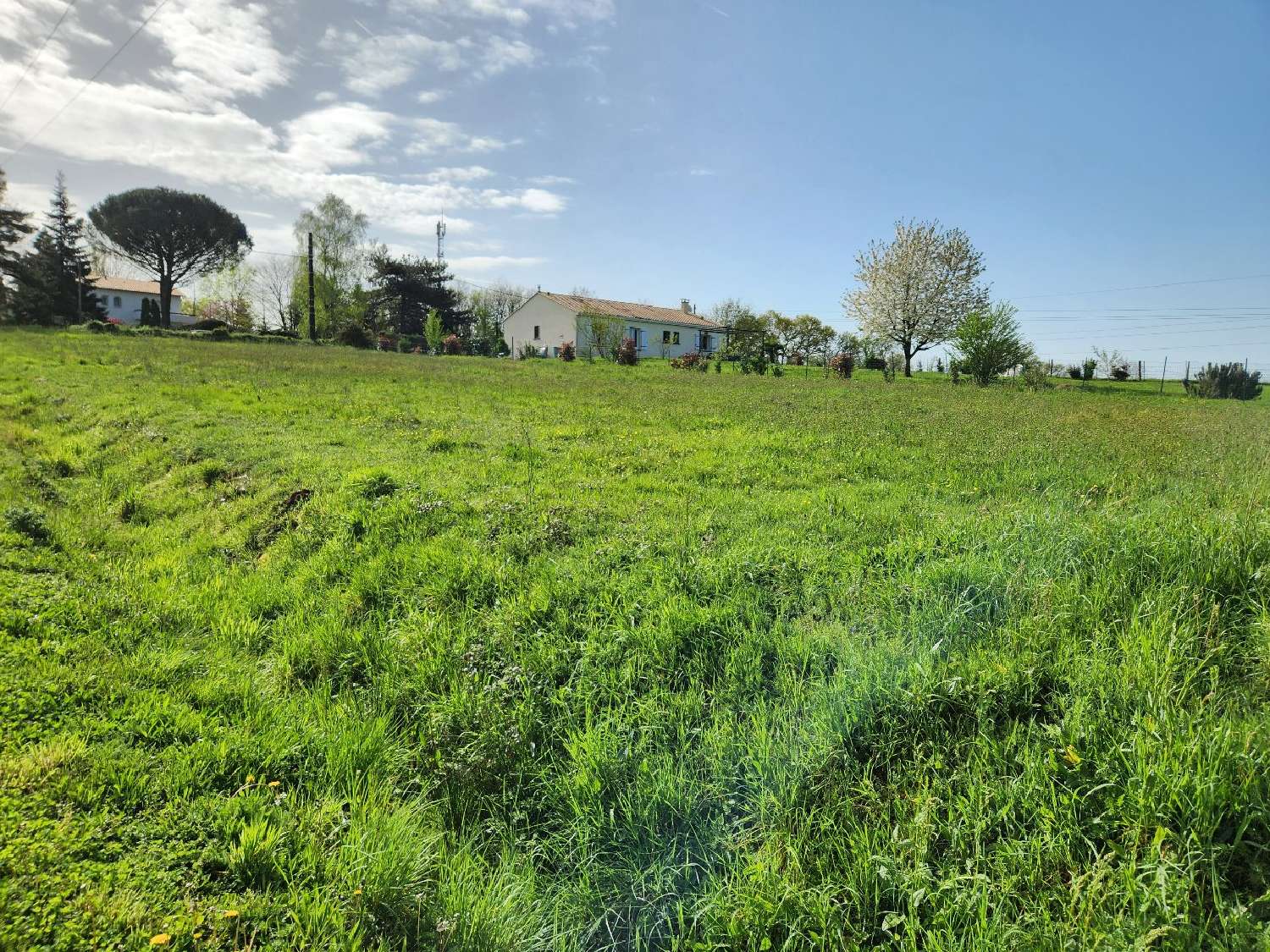  kaufen Grundstück Chabanais Charente 6